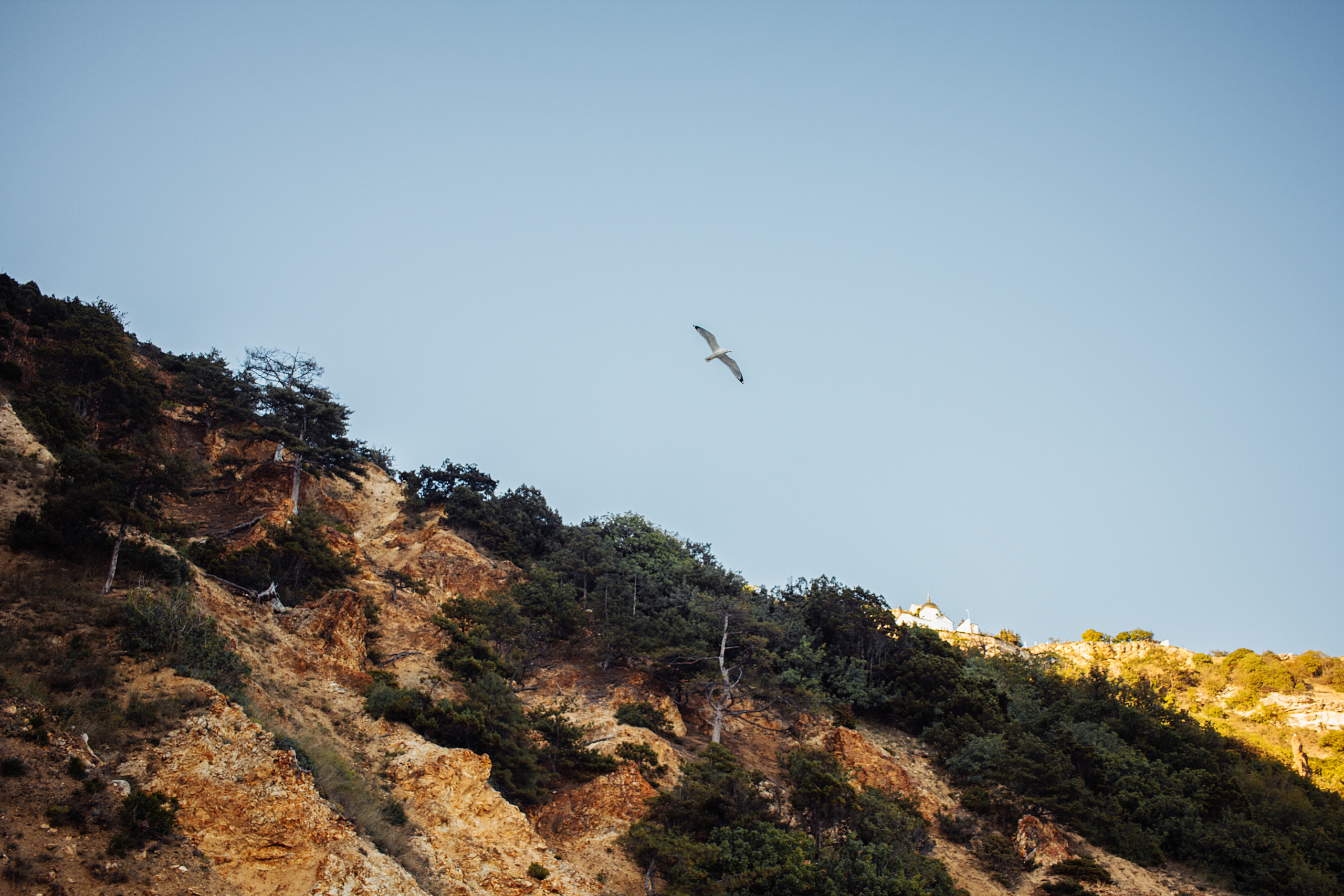 Алексей и Анастасия. Фотограф Виктор Курий