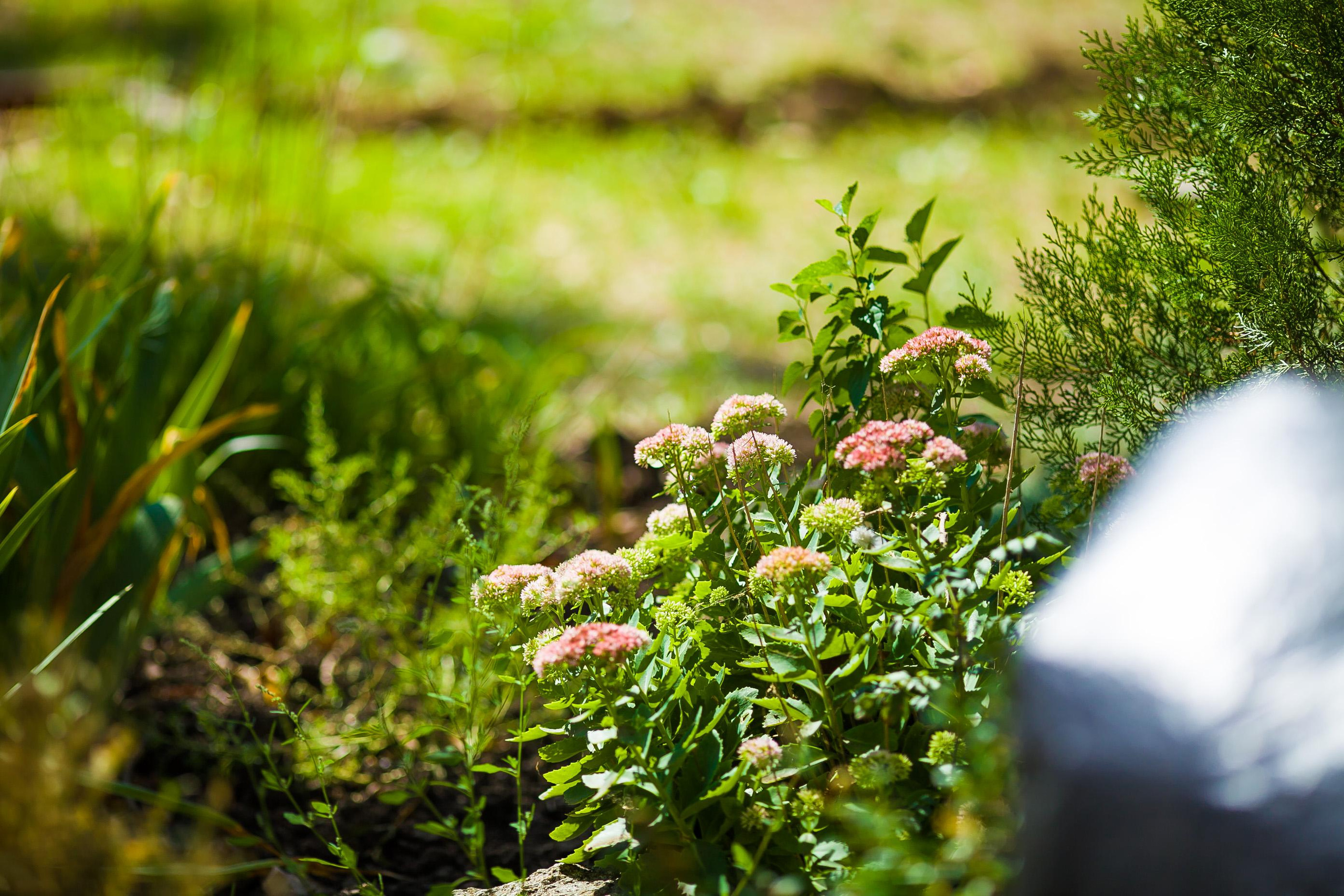 Свадьба Евгений и Светлана. Дизайн интерьера Керчь, дизайнер интерьера Еремина Мария Керчь, Симфер