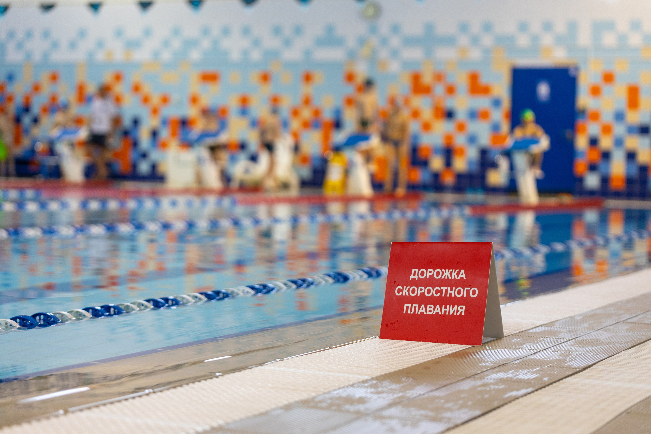 Плавание в ластах (разные годы, более 10 репортажей выборка пополняемая). Фотограф в Туле Крупский АнДРей. Фотостудия «КАДР71» в Туле