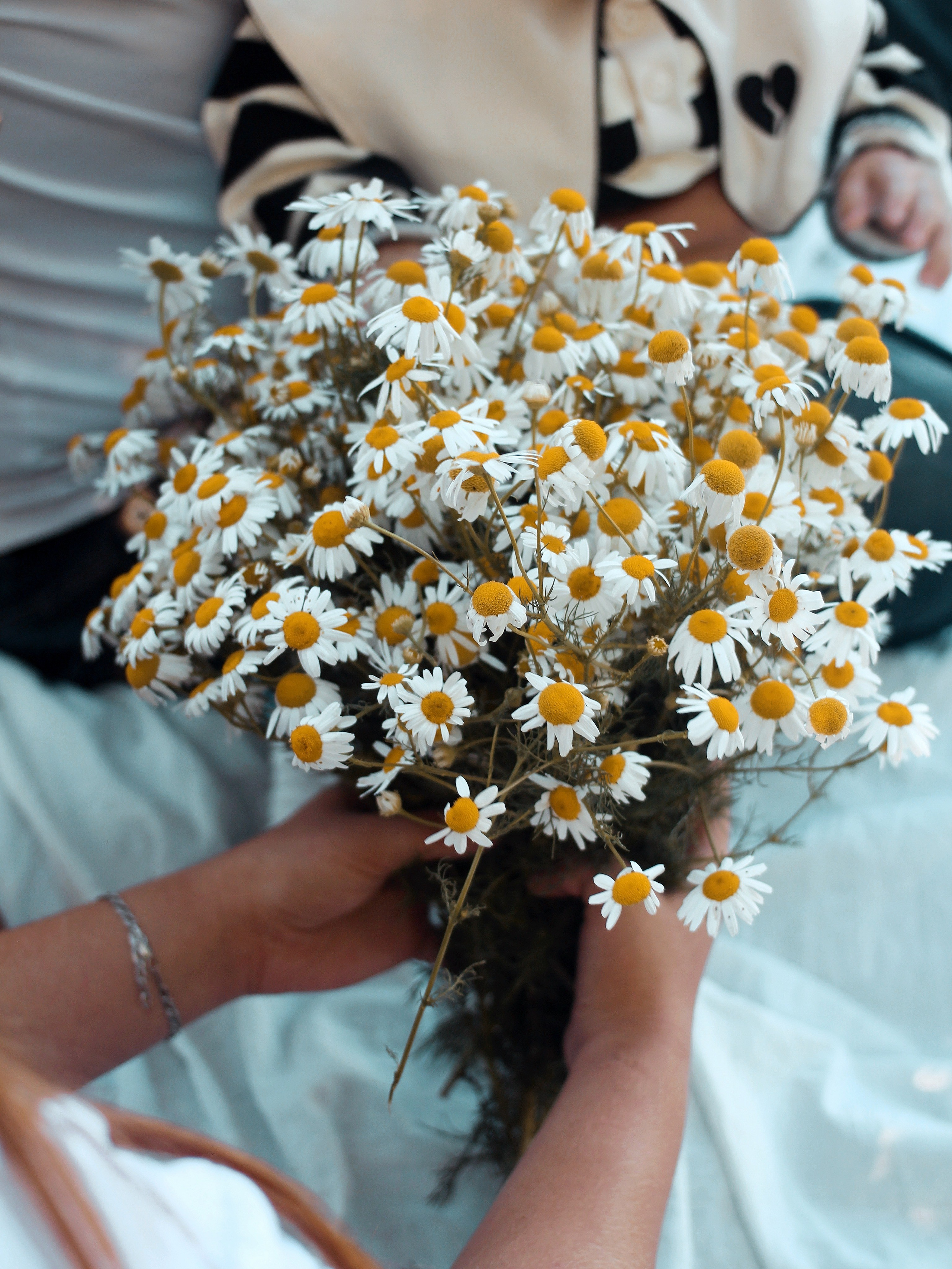 Семейная. Photography Eva