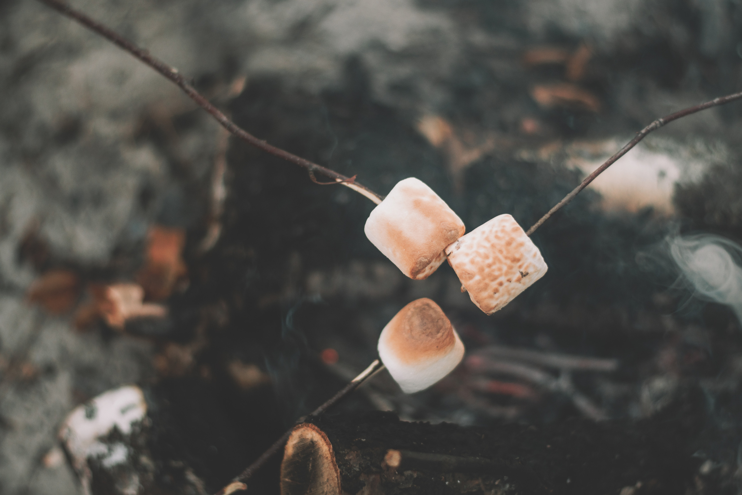 Хиппи. Семейный и свадебный фотограф Губкинский и Ставрополь