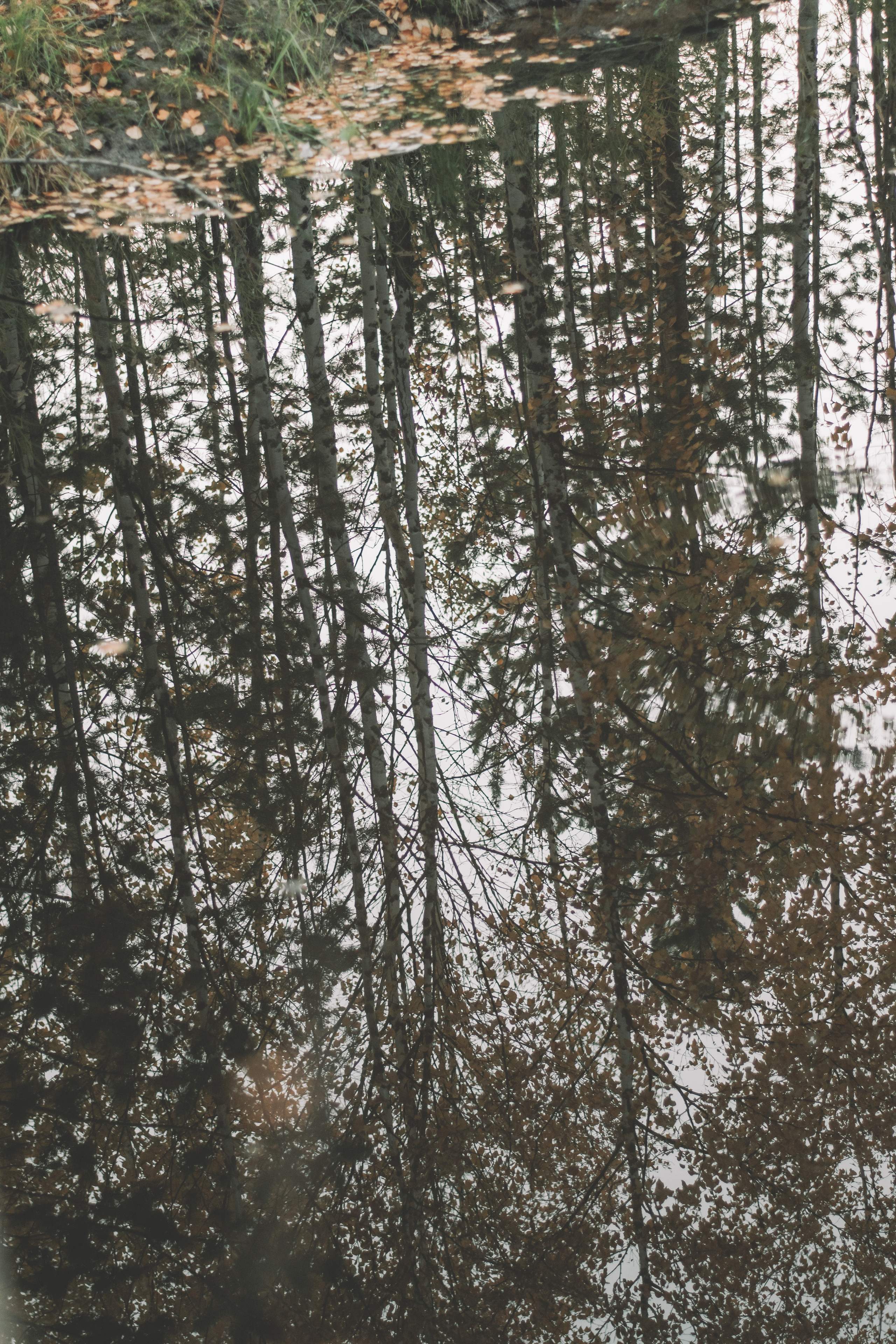 Алеся. Семейный и свадебный фотограф Губкинский и Ставрополь