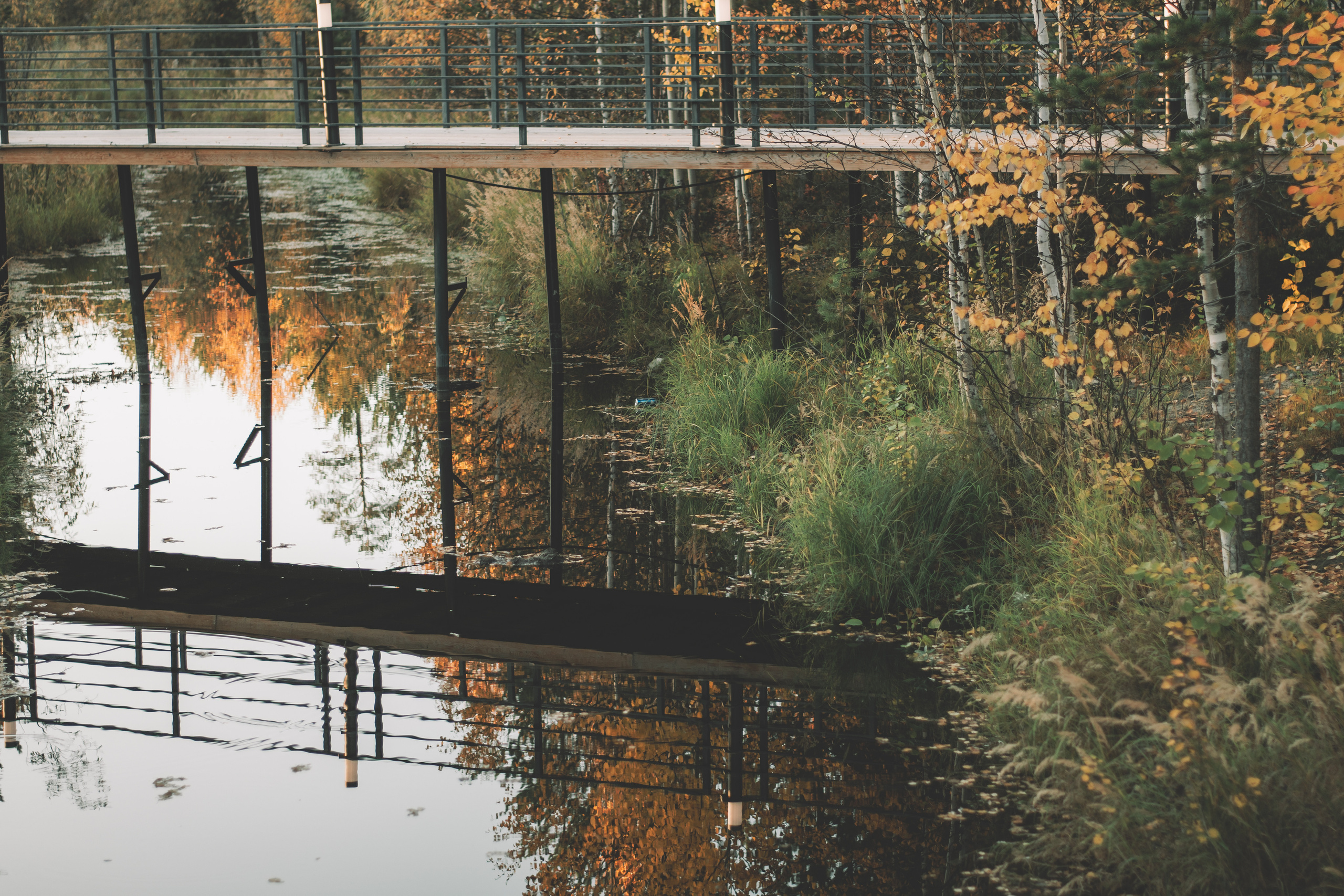 Алеся. Семейный и свадебный фотограф Губкинский и Ставрополь