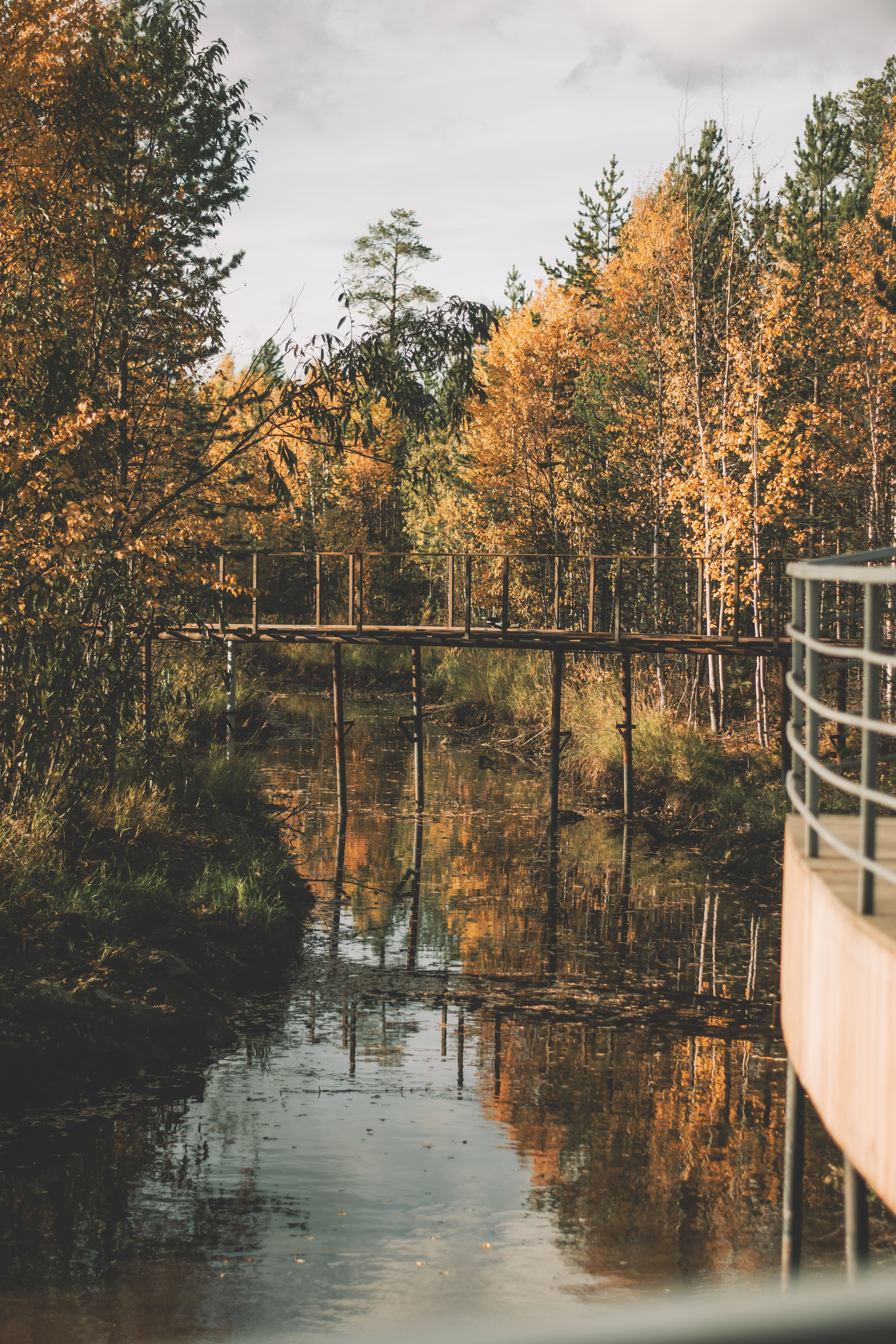 Юлия. Семейный и свадебный фотограф Губкинский и Ставрополь