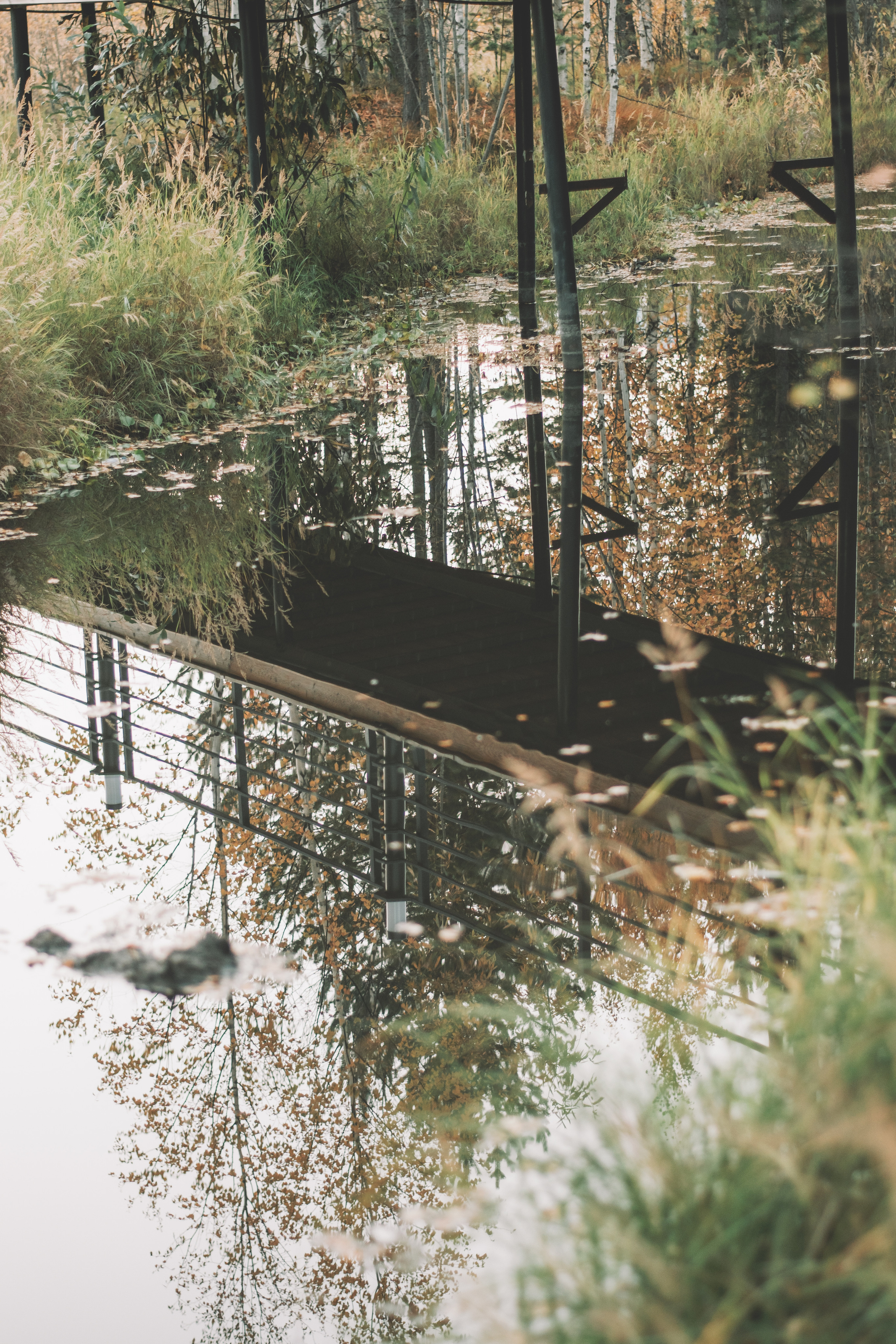 Алеся. Семейный и свадебный фотограф Губкинский и Ставрополь