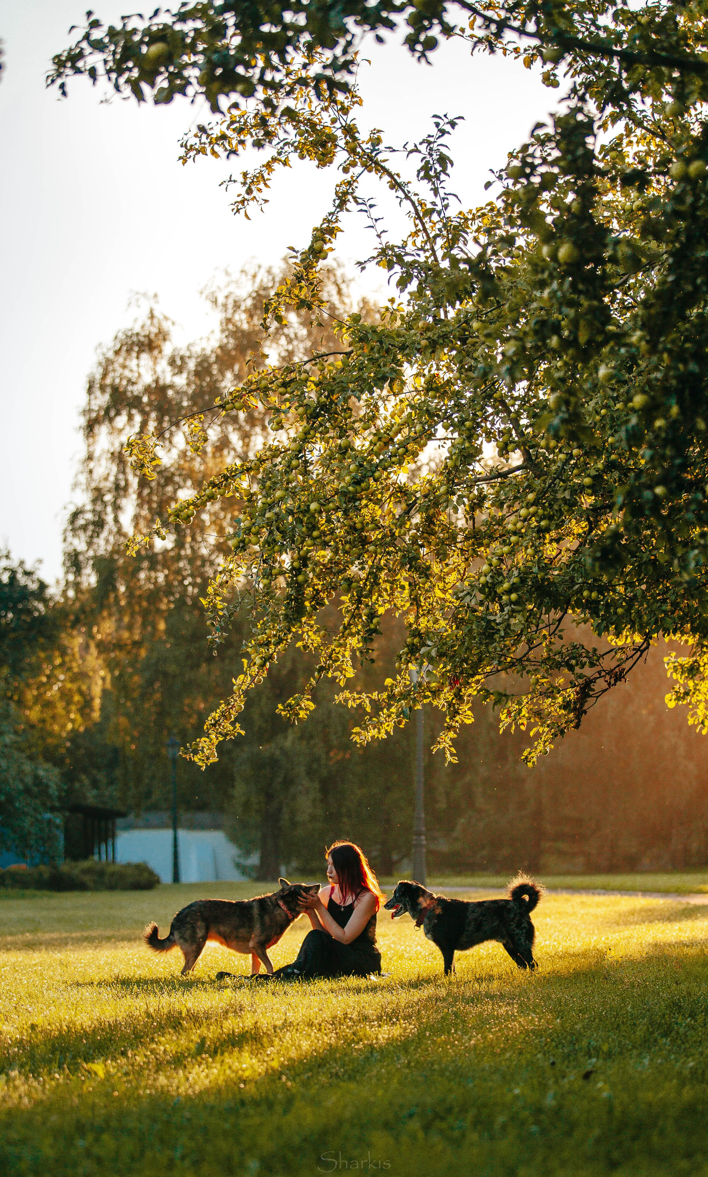 Вега и Гриша. Главная