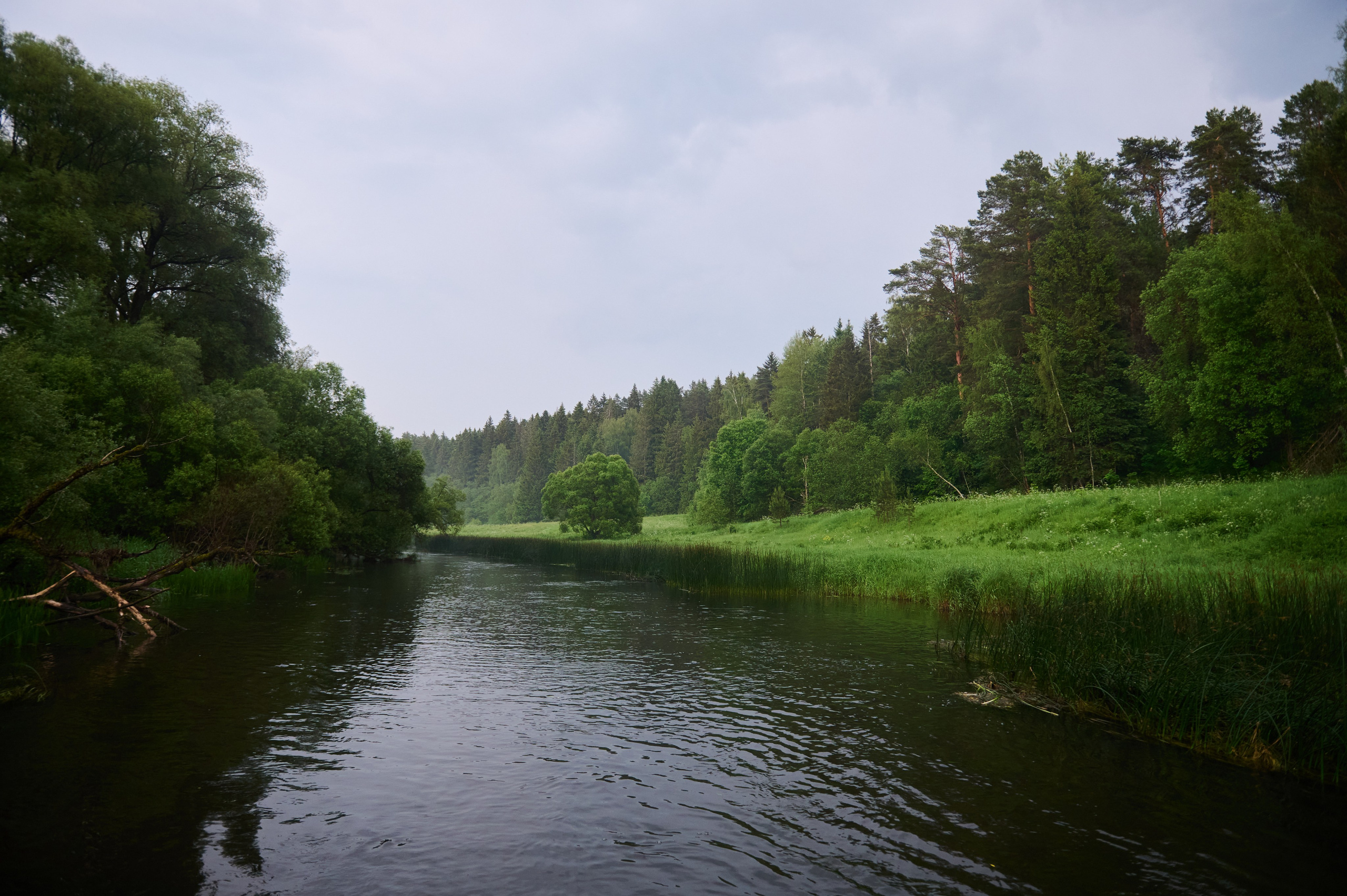 Июнь р. Протва. Главная