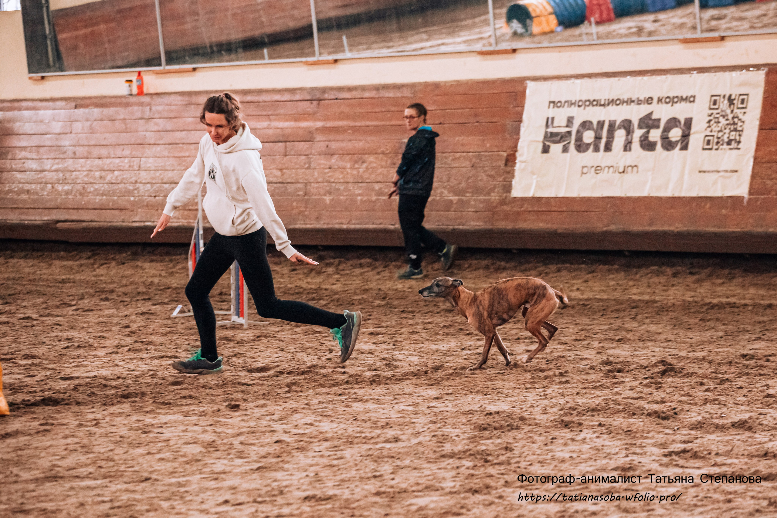 Соревнования по Аджилити 25.02.2024. Фотограф-анималист Татьяна Степанова
