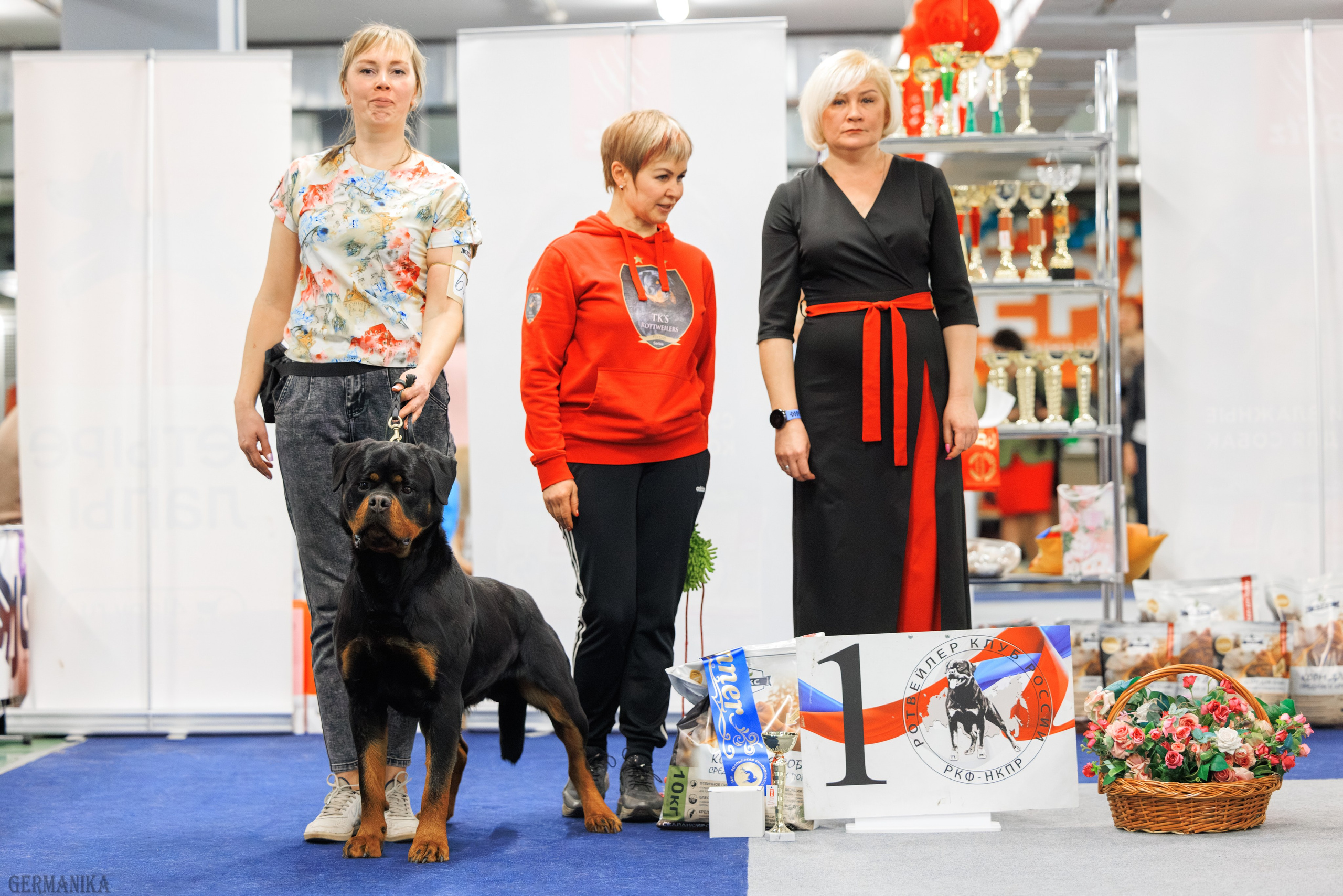 Сфера 08 и 10.03.2024 2хмоно ротвейлеров+2хмоно сао. Фотограф-анималист Юлия Германика