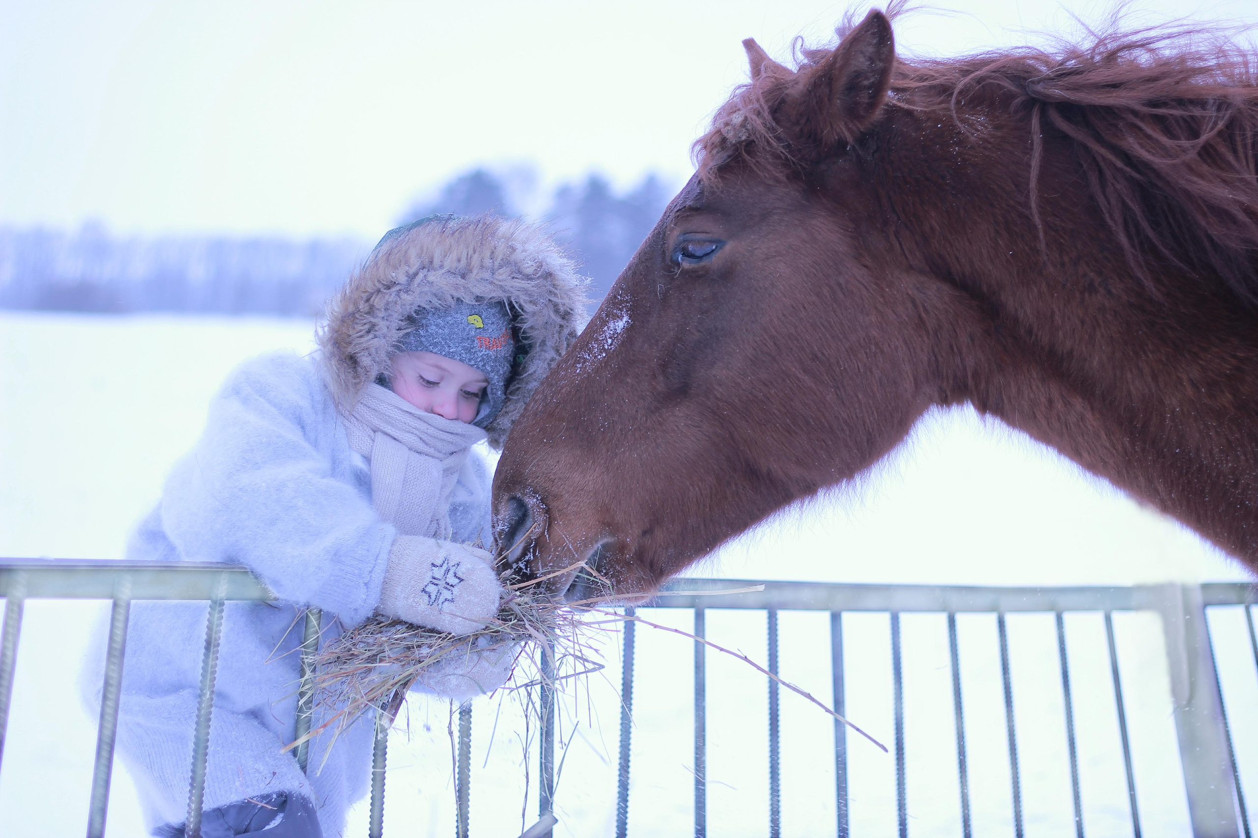 Творческая фотография. Детский и семейный фотограф в Уфе Зинаида Вольштейн