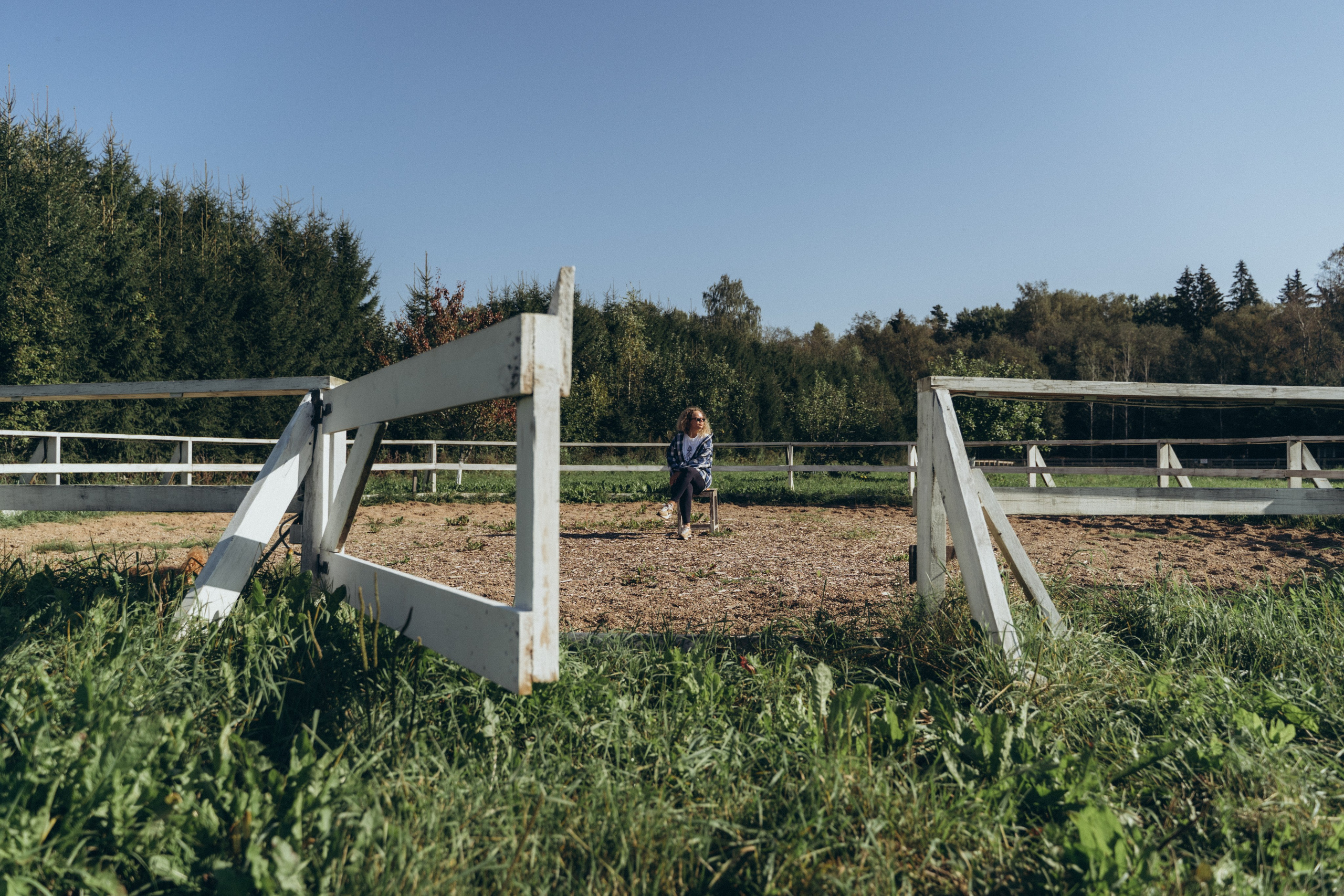 Даша. Главная