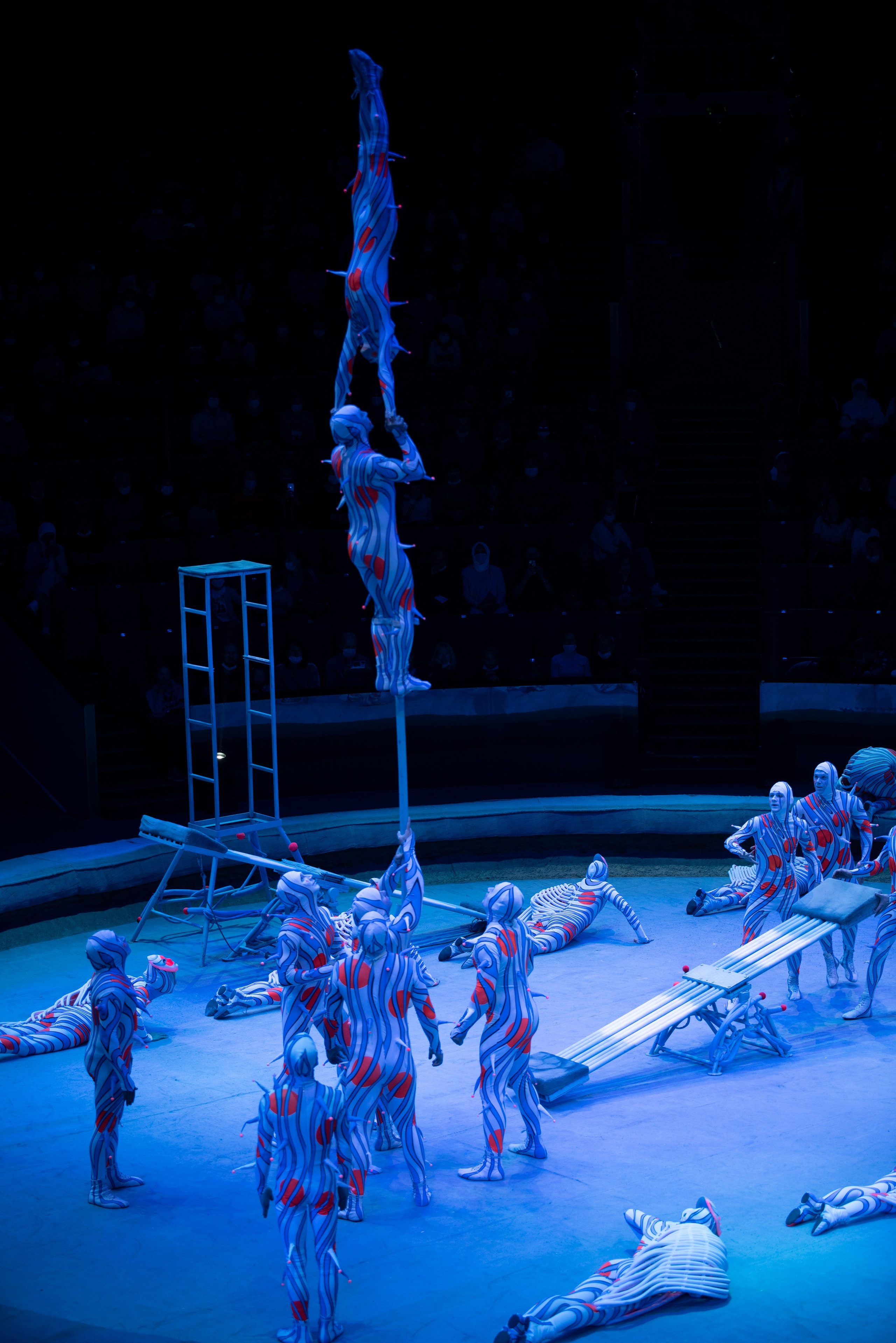 Цирк Запашных — Шоу И100рия. Женский и семейный фотограф в Москве, Железнодорожном Анастасия Кинёва