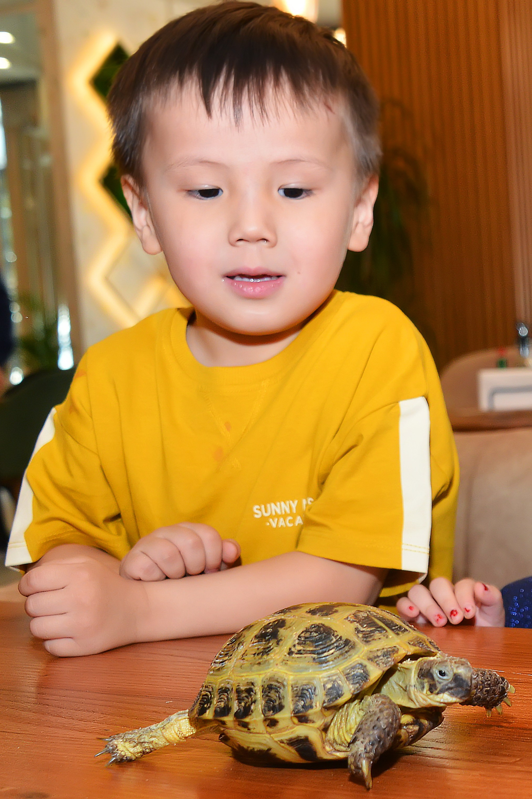 Дети-2 (Оливия-5 лет). Фотосъёмка. Фотограф Сергей Авдеев-семейный и детский фотограф в Алматы