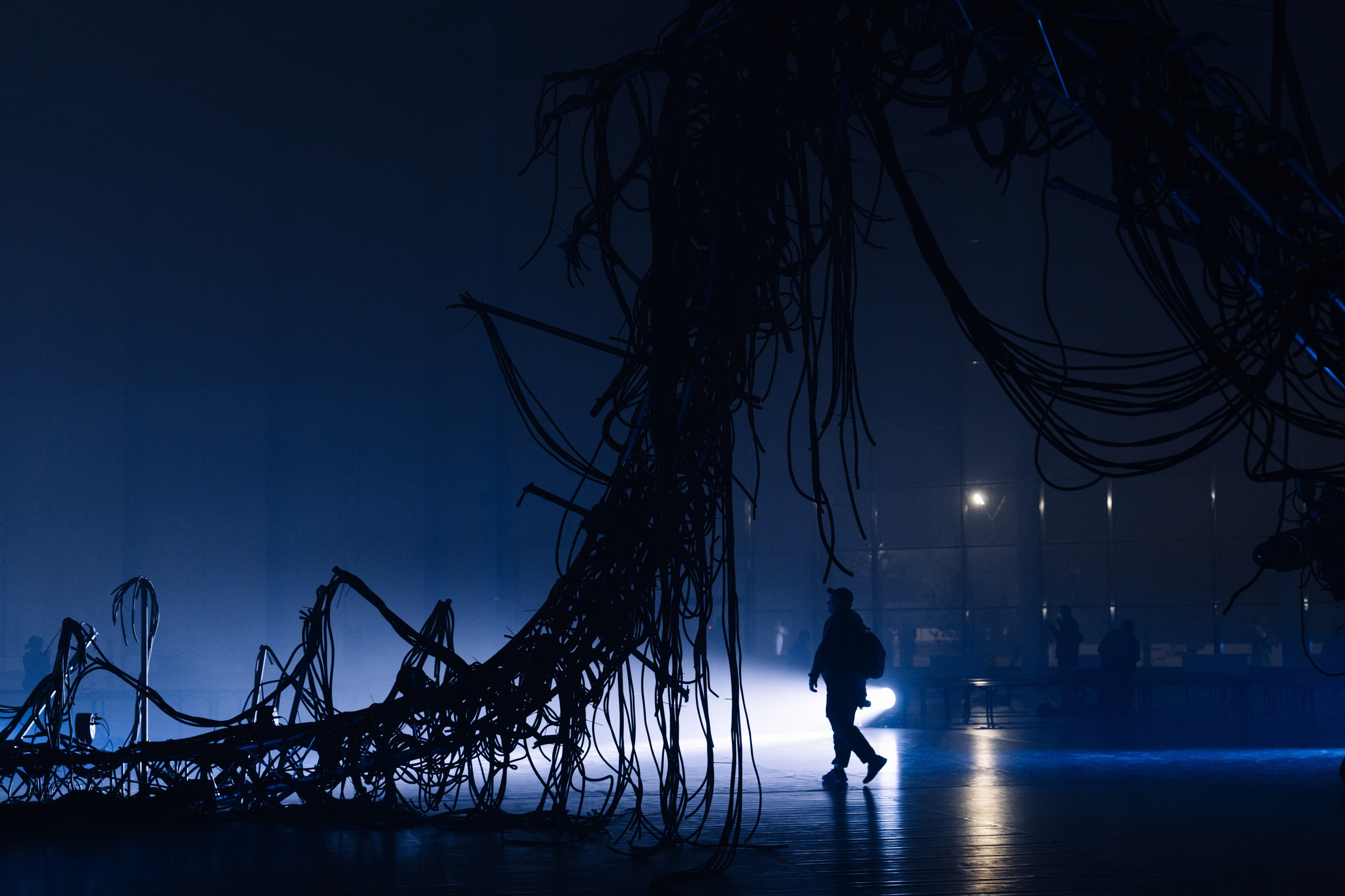 PERFORMA, The Hour of the Horse. @tomrus: Рустам Шагиморданов — фотограф