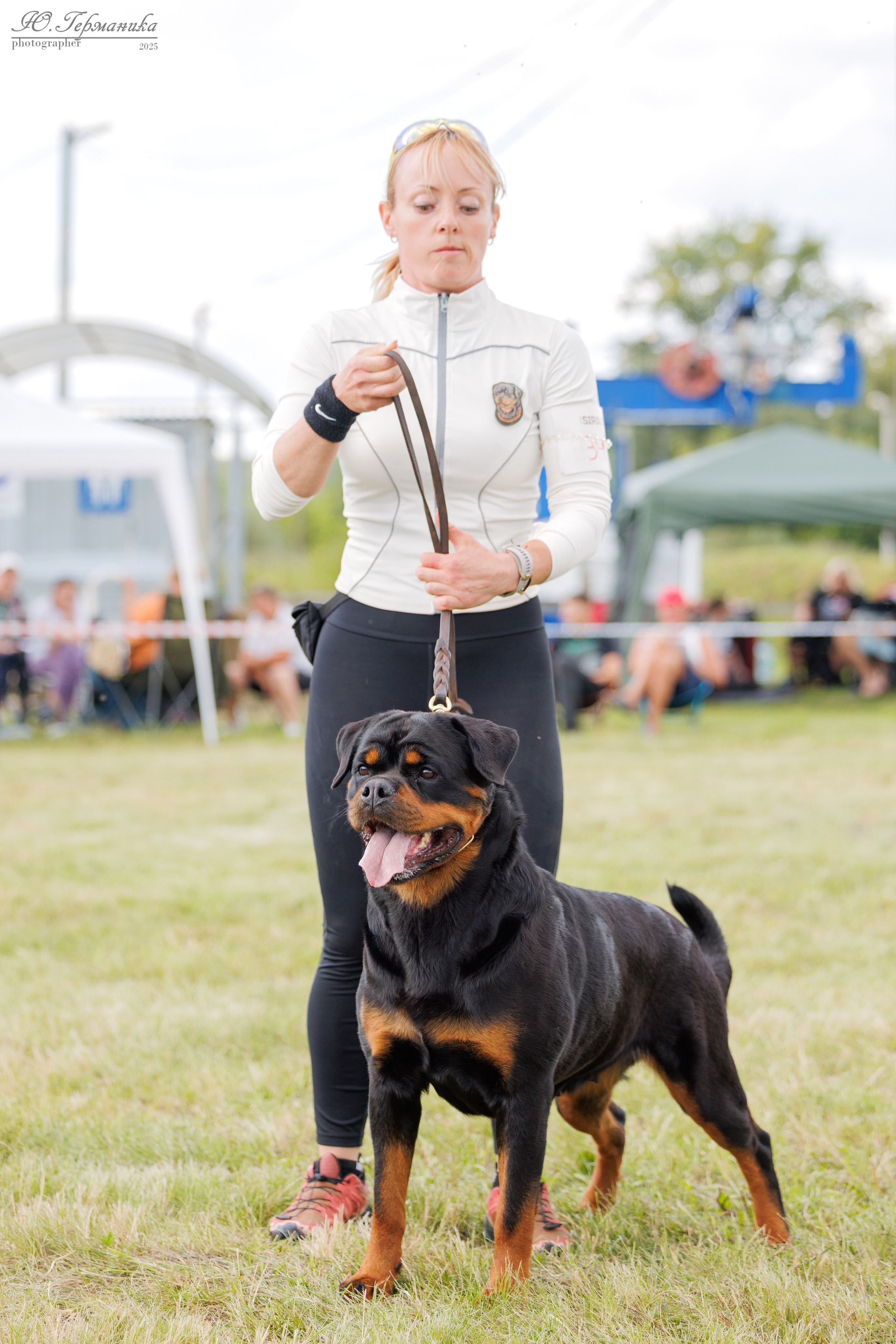 Рязань 2хмоно ротвейлеры 16-17.08.2025. Фотограф-анималист Юлия Германика