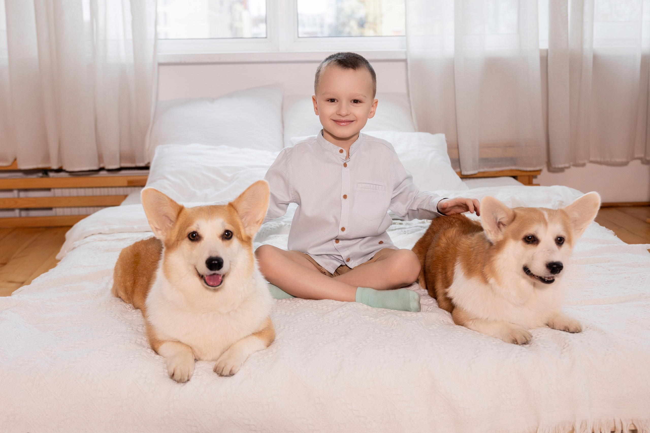 Фотосессия с корги. Семейный и свадебный фотограф в Санкт-Петербурге Татьяна Швыкова