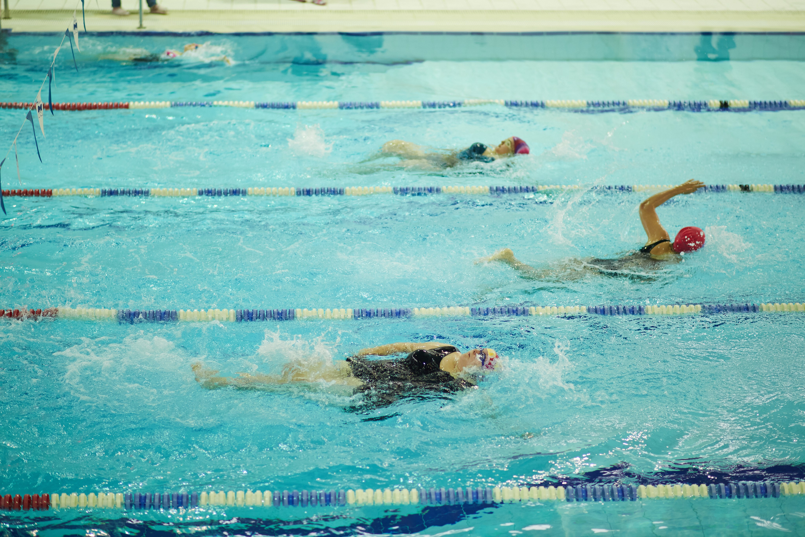 Особенный заплыв, Аксай, дворец спорта. Фотограф Зиновьев Михаил. Фотограф Зиновьев Михаил
