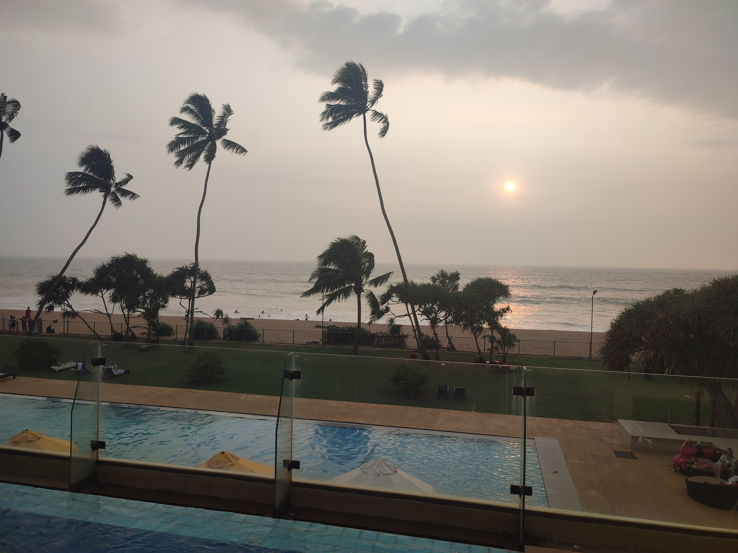 Шри-Ланка | 31.01 — 10.02.2025. Галерея Фантим