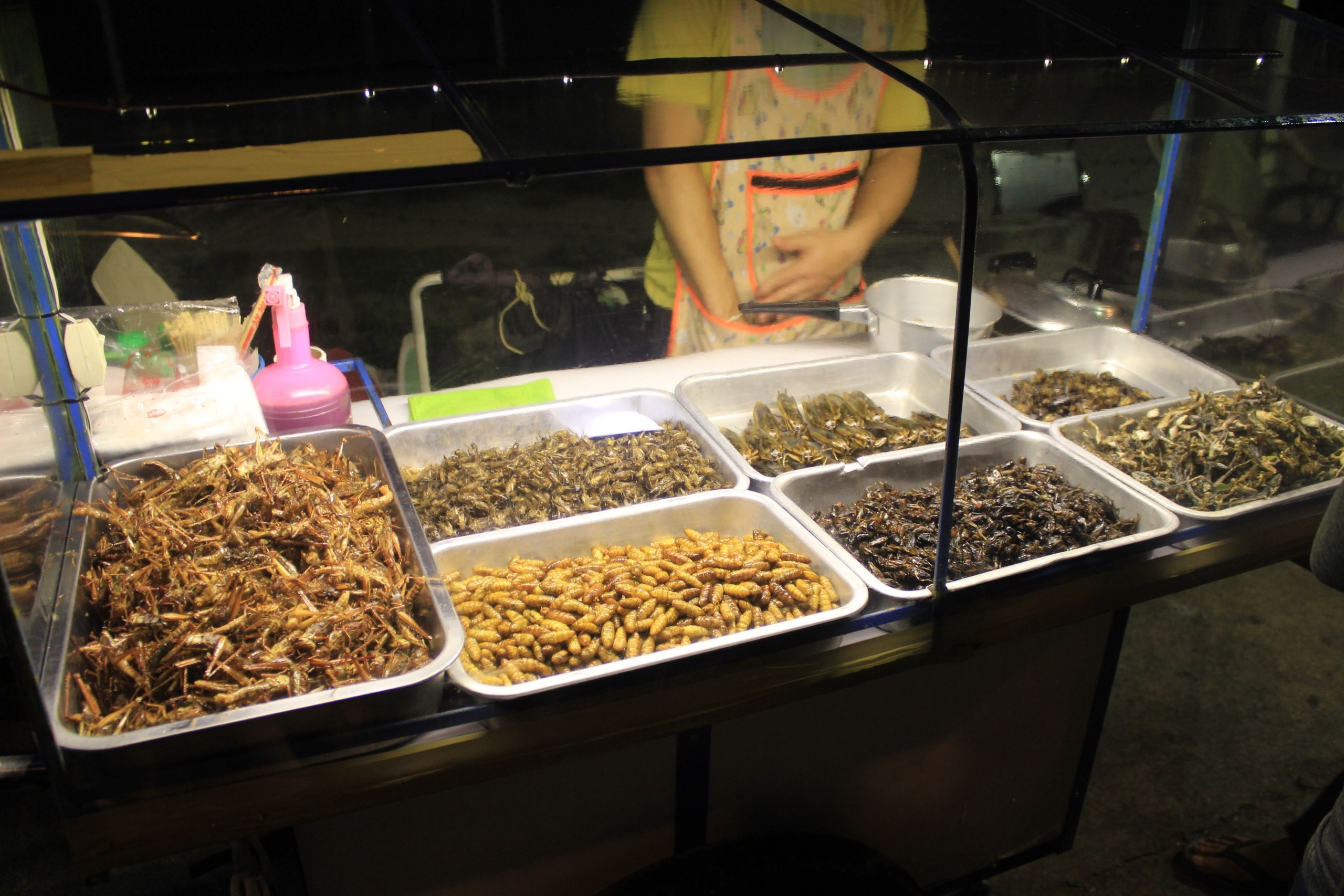 Таиланд |10-25.02.2018. Галерея Фантим