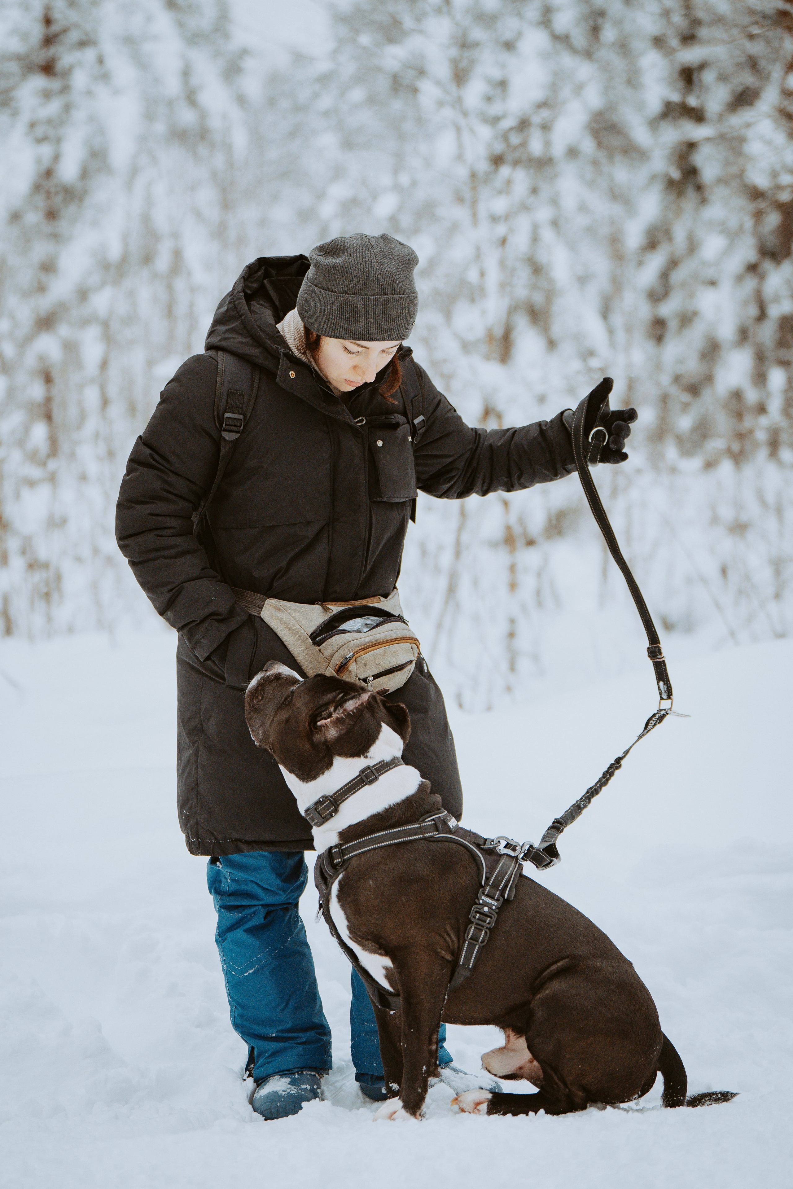 Дог трекинг. Фотограф анималист в Спб недорого Олеся Майорова