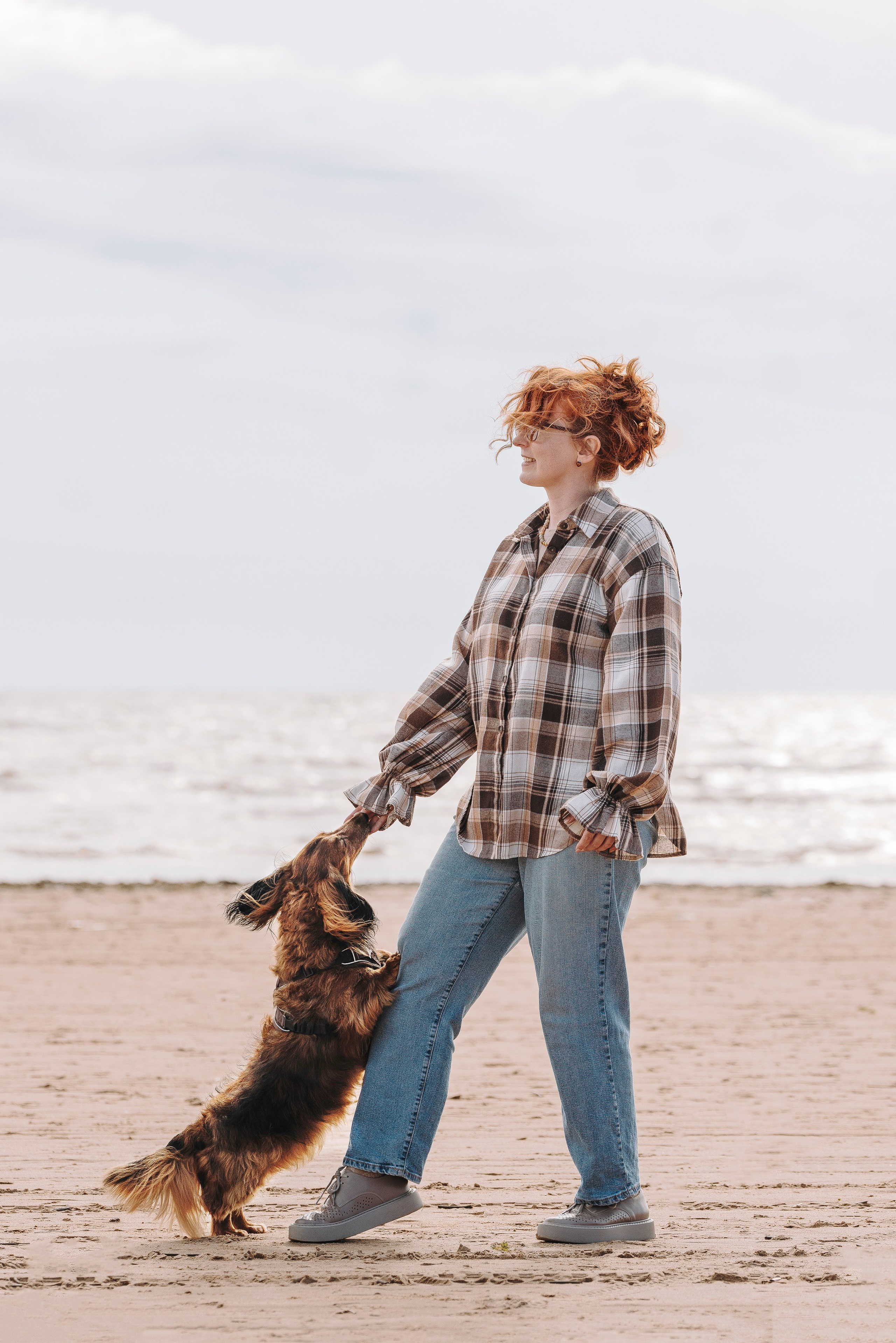 Фотосессия с длиношерстной таксой на пляжн. Фотограф анималист в Спб недорого Олеся Майорова