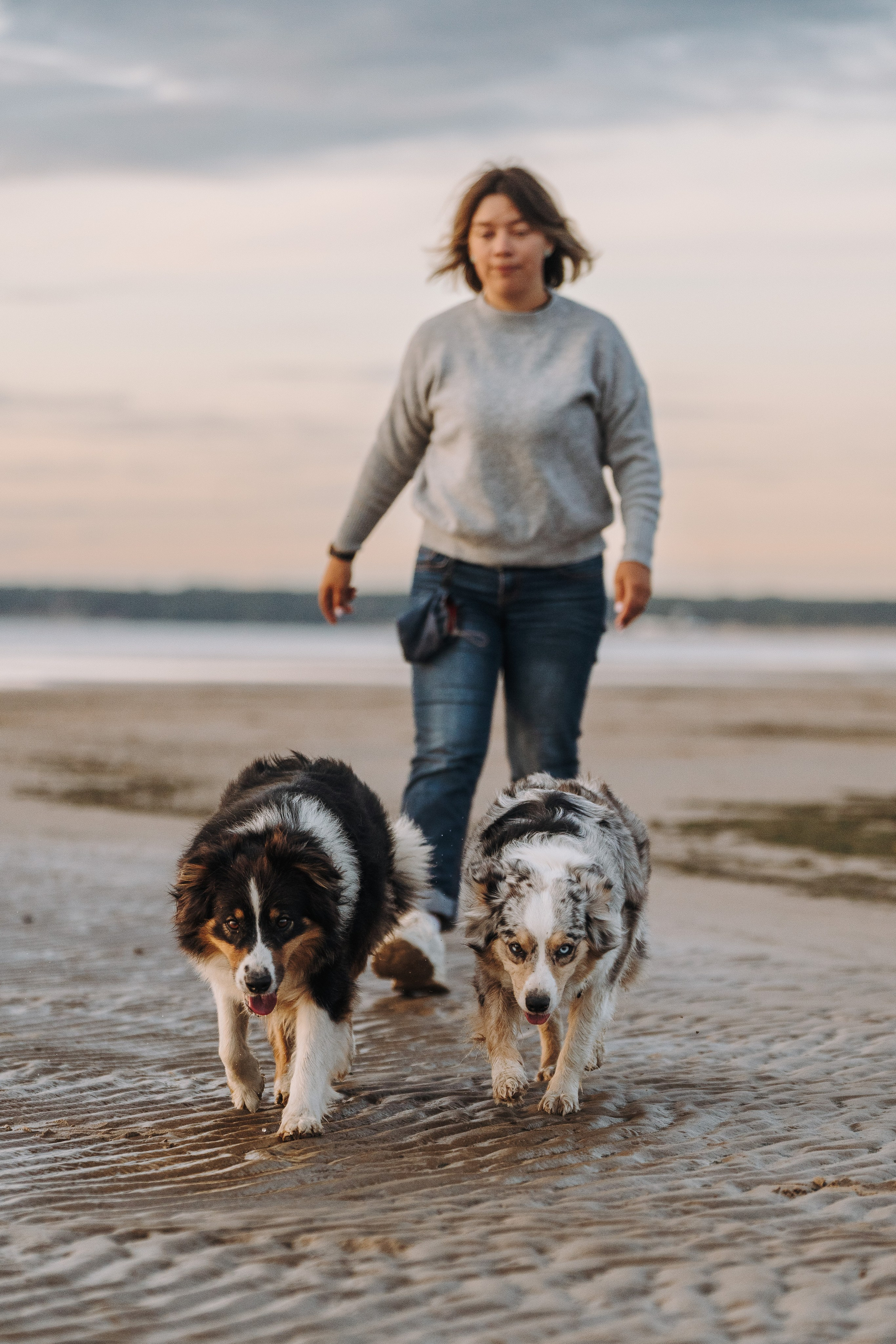 Фотограф анималист в Спб. Фотограф анималист в Спб недорого Олеся Майорова