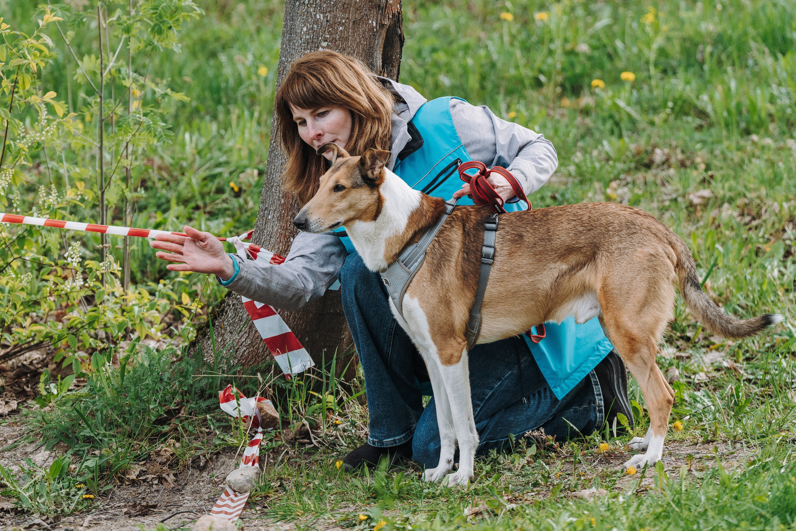Соревнования по ноузворку в Лосево. Фотограф анималист в Спб недорого Олеся Майорова