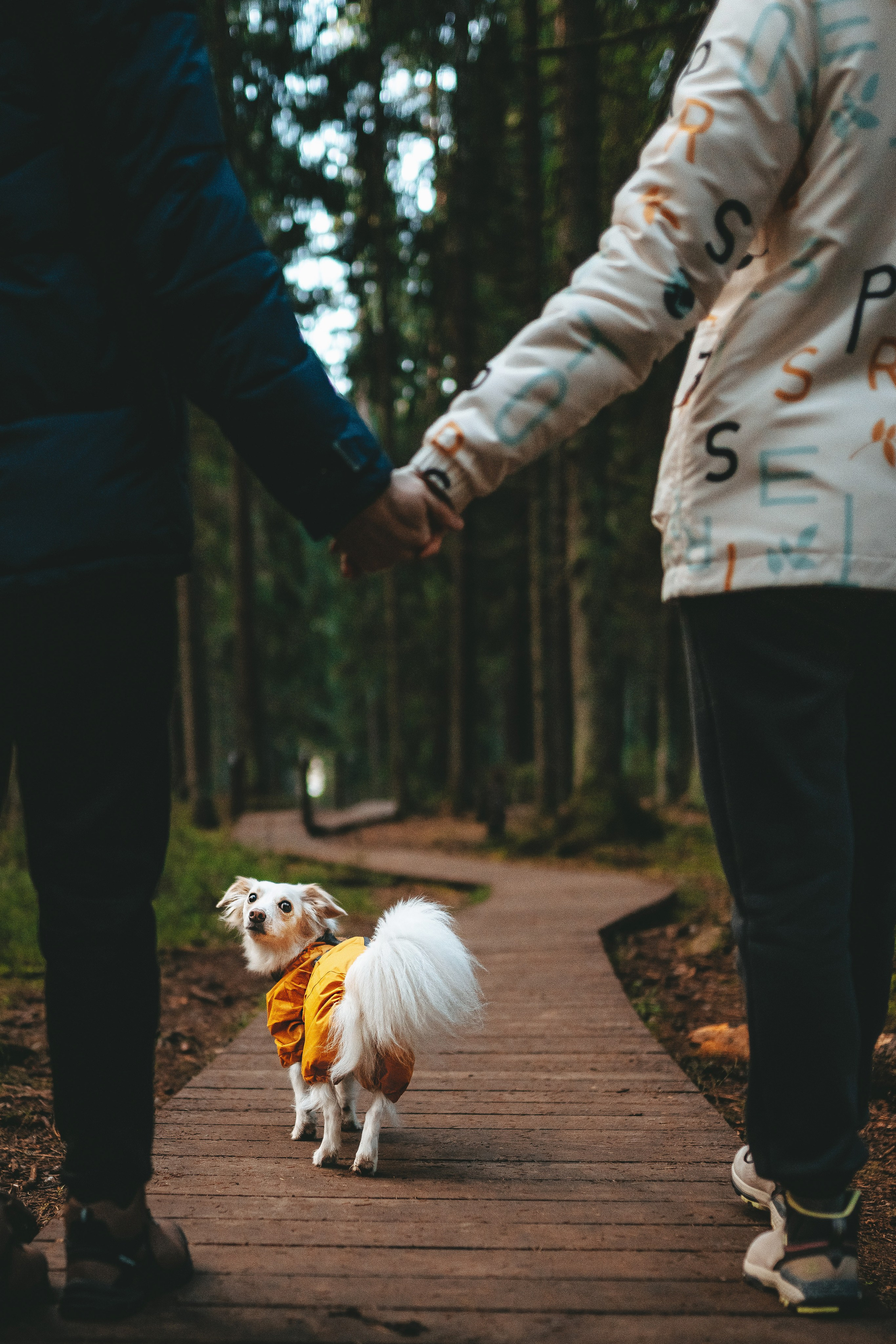 Бруно, Алена и Антон. Фотограф анималист в Спб недорого Олеся Майорова