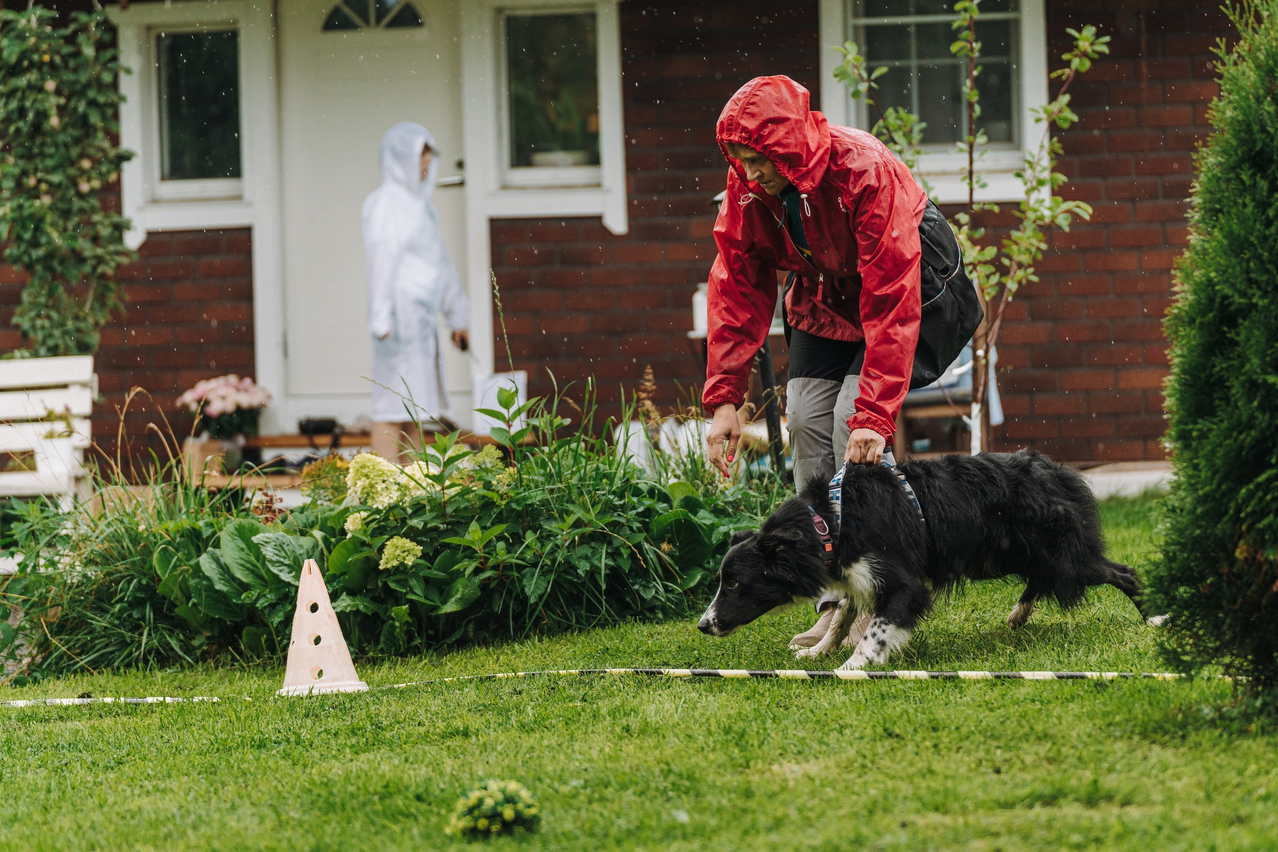 Соревнования по ноузворку в Новожилово. Фотограф анималист в Спб недорого Олеся Майорова