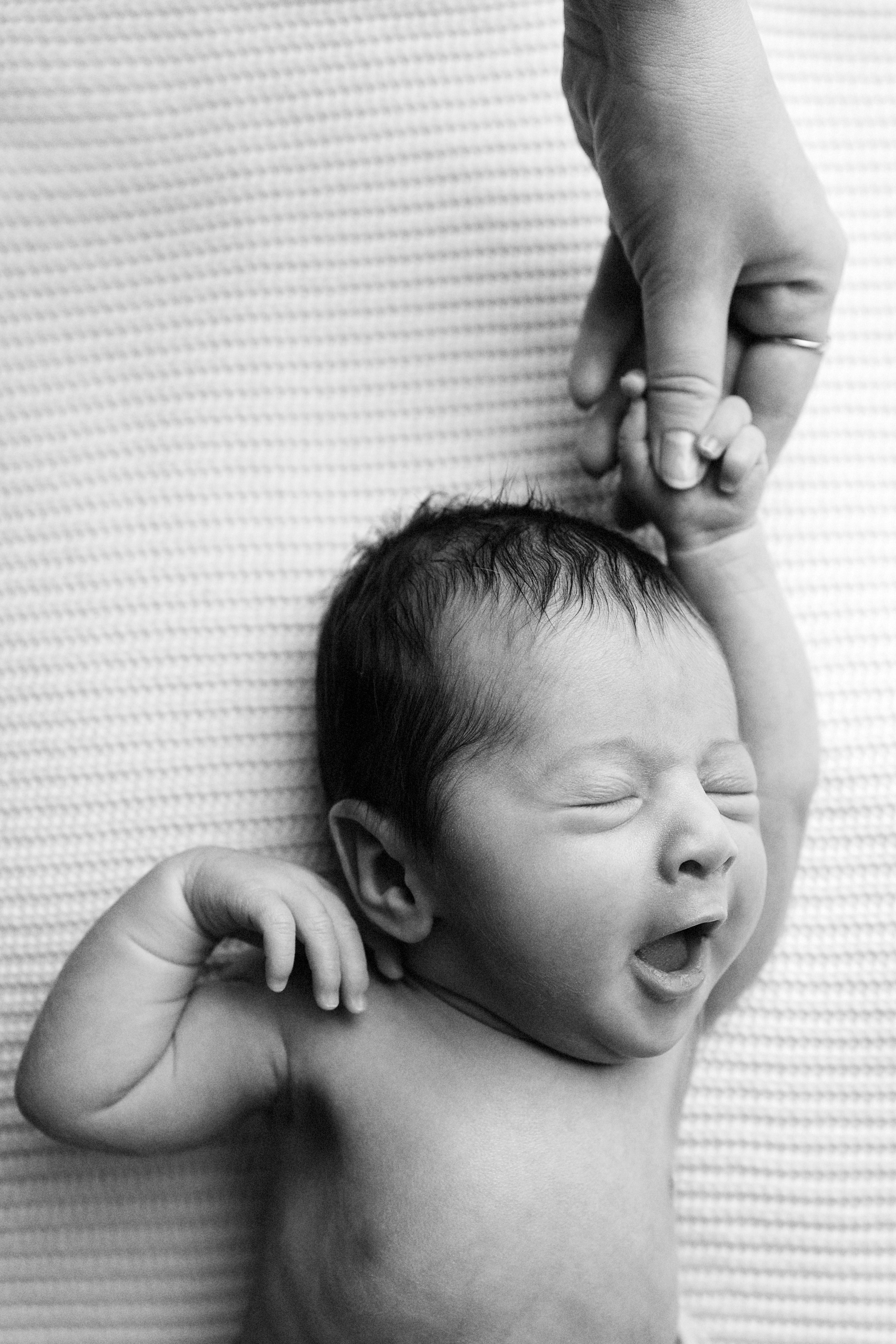 Новорожденные малыши. Фотограф Елена Зуйкова