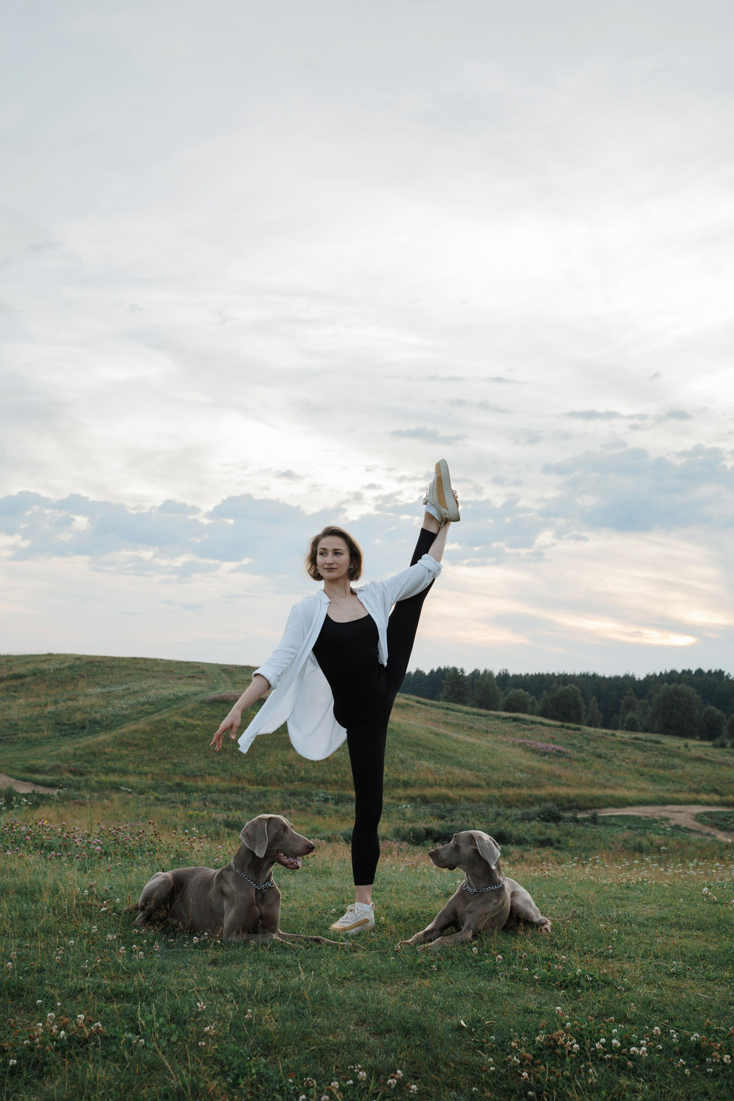 Маргарита и веймаранеры. Фотограф-анималист в Санкт-Петеребурге Титова Алиса