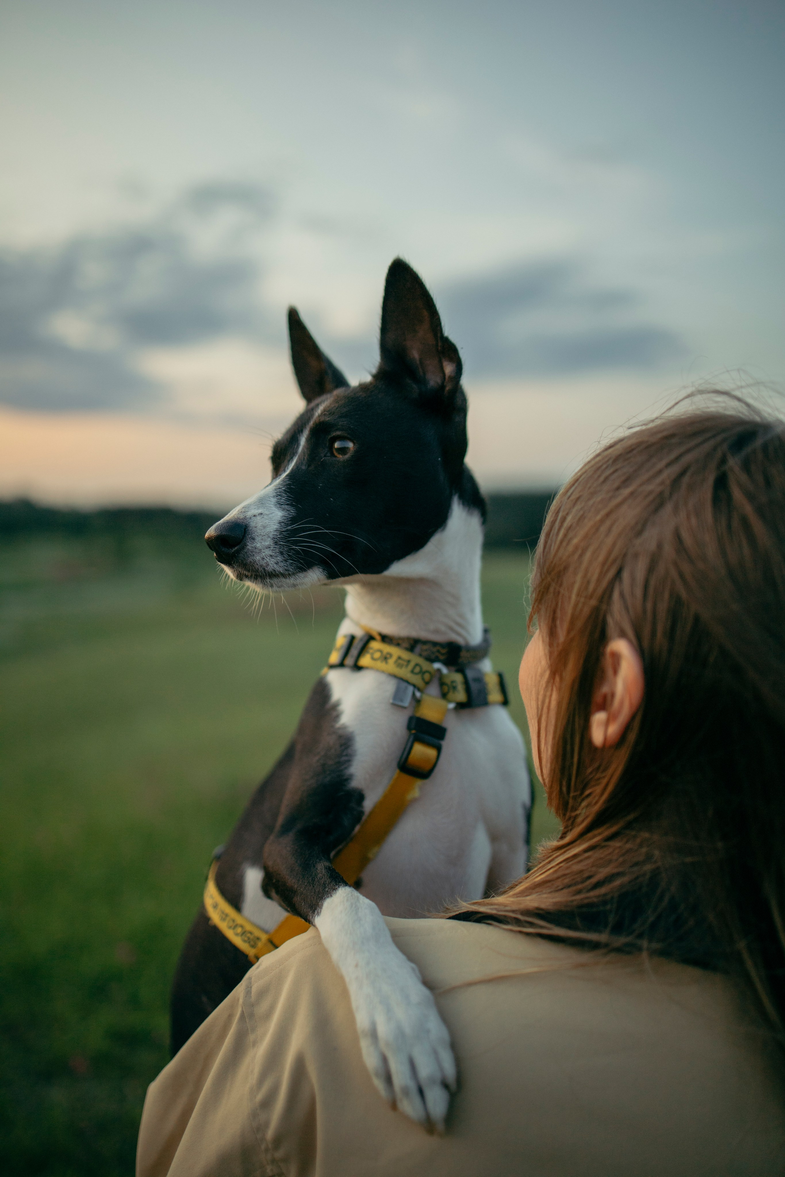 Итачи и его семья 🐾. Фотограф-анималист в Санкт-Петеребурге Титова Алиса