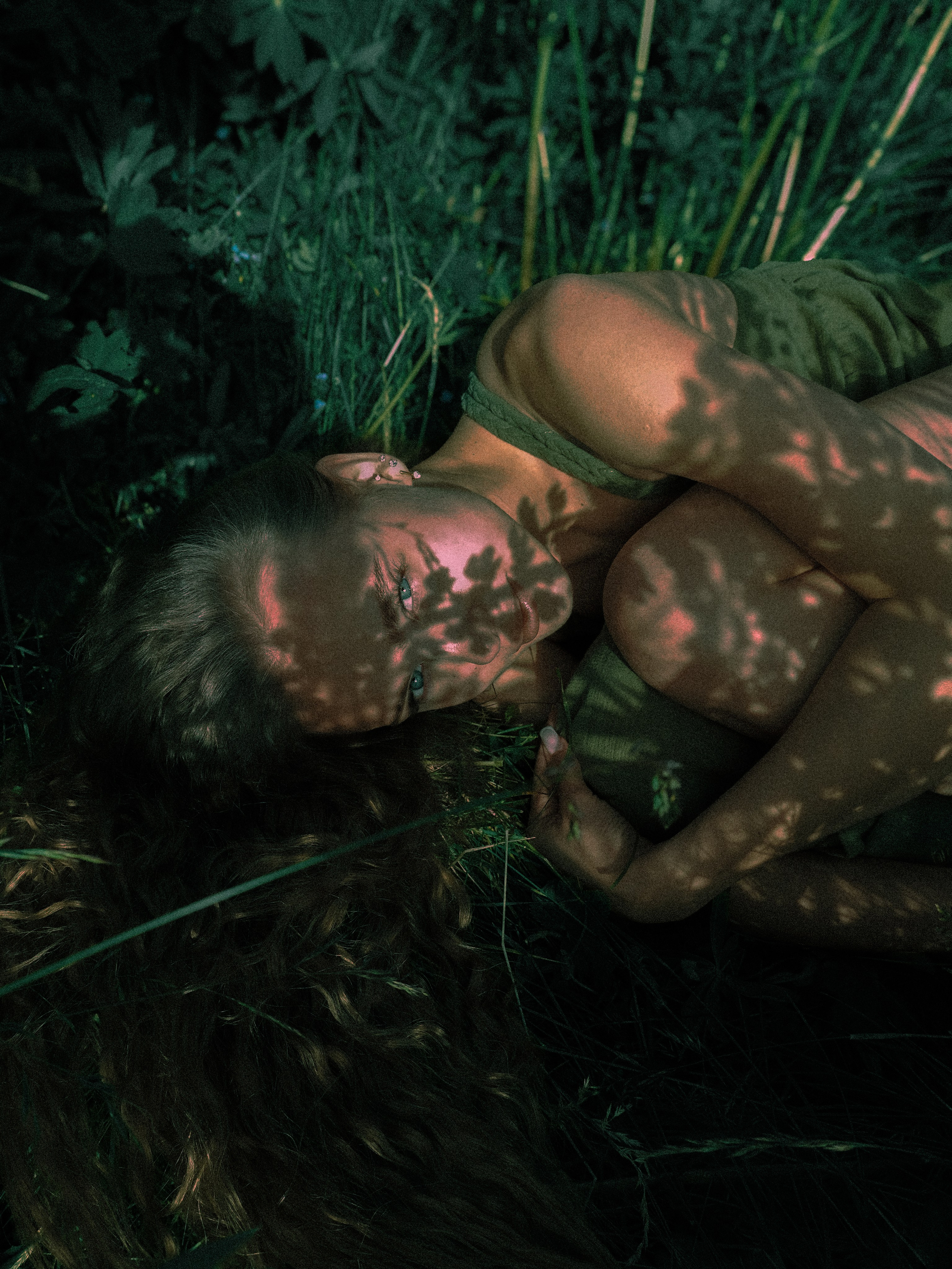 Люпины. Художественный фотограф СПБ, Дубай