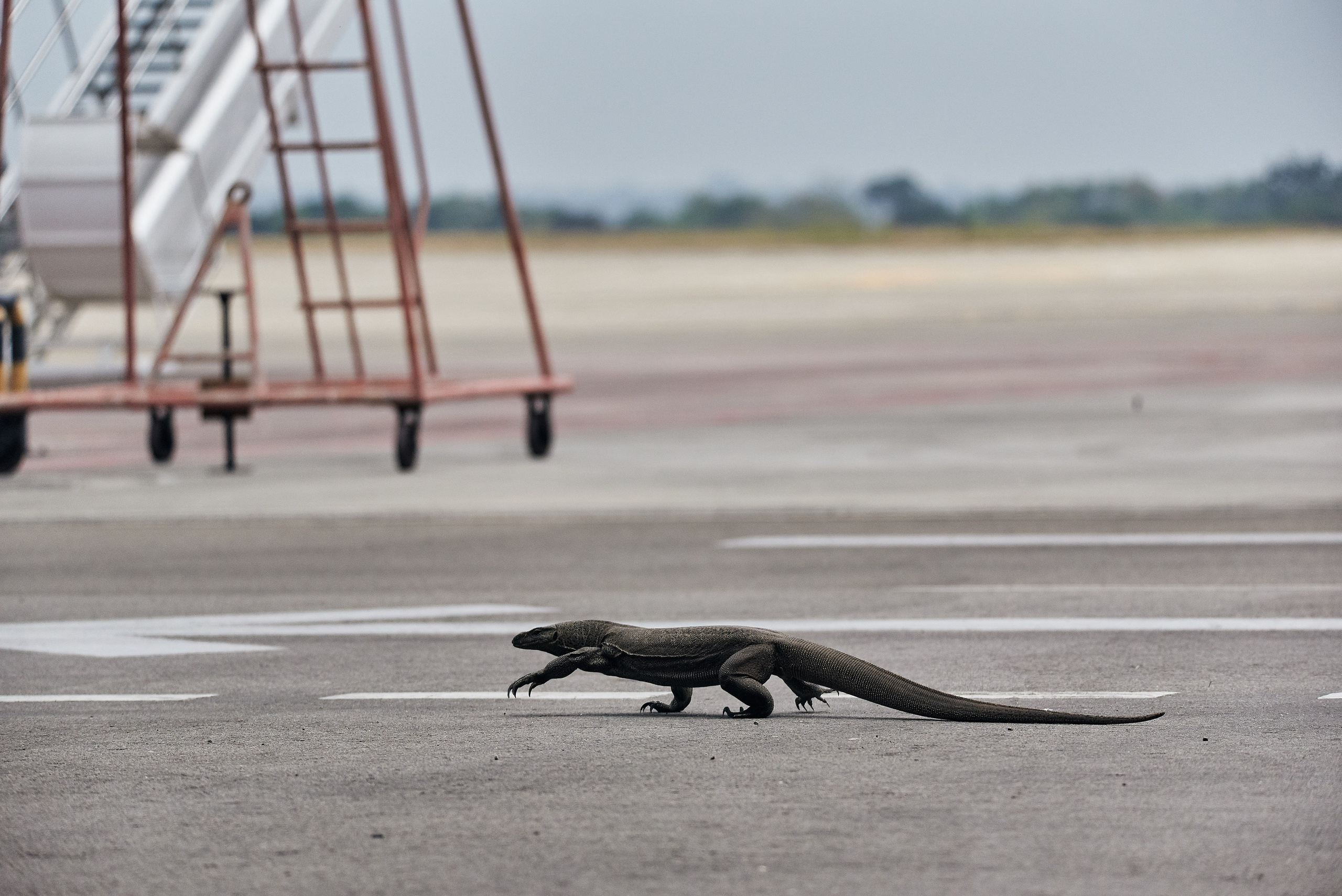 Булки — Аэропорт. Никита Хохловский фото и видео продакшн