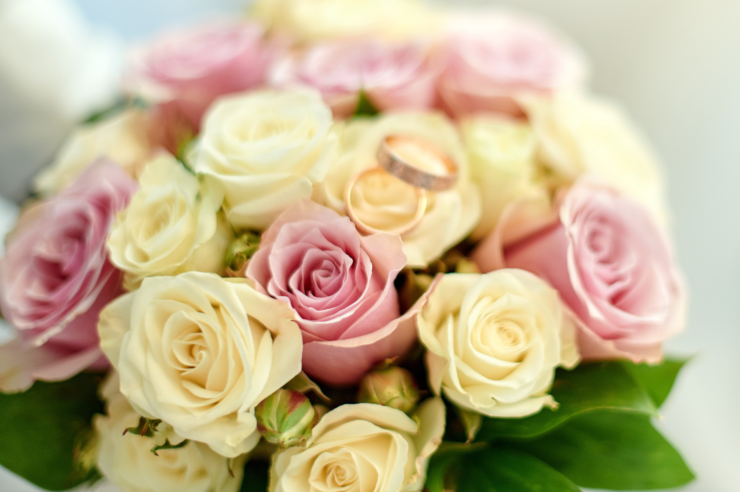 Н & О. Семейный и детский фотограф в г. Ногинске Ангелина Хасанова