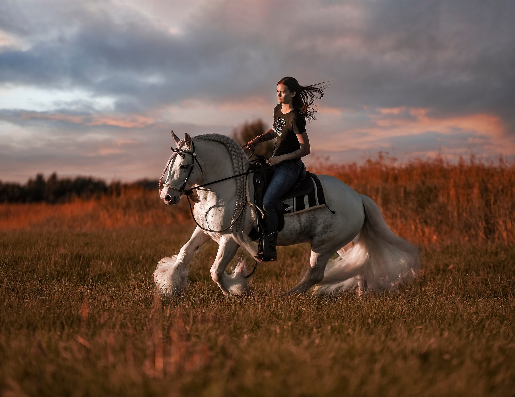Съемки с лошадьми. Конный фотограф из Москвы Ирина Бондаркова
