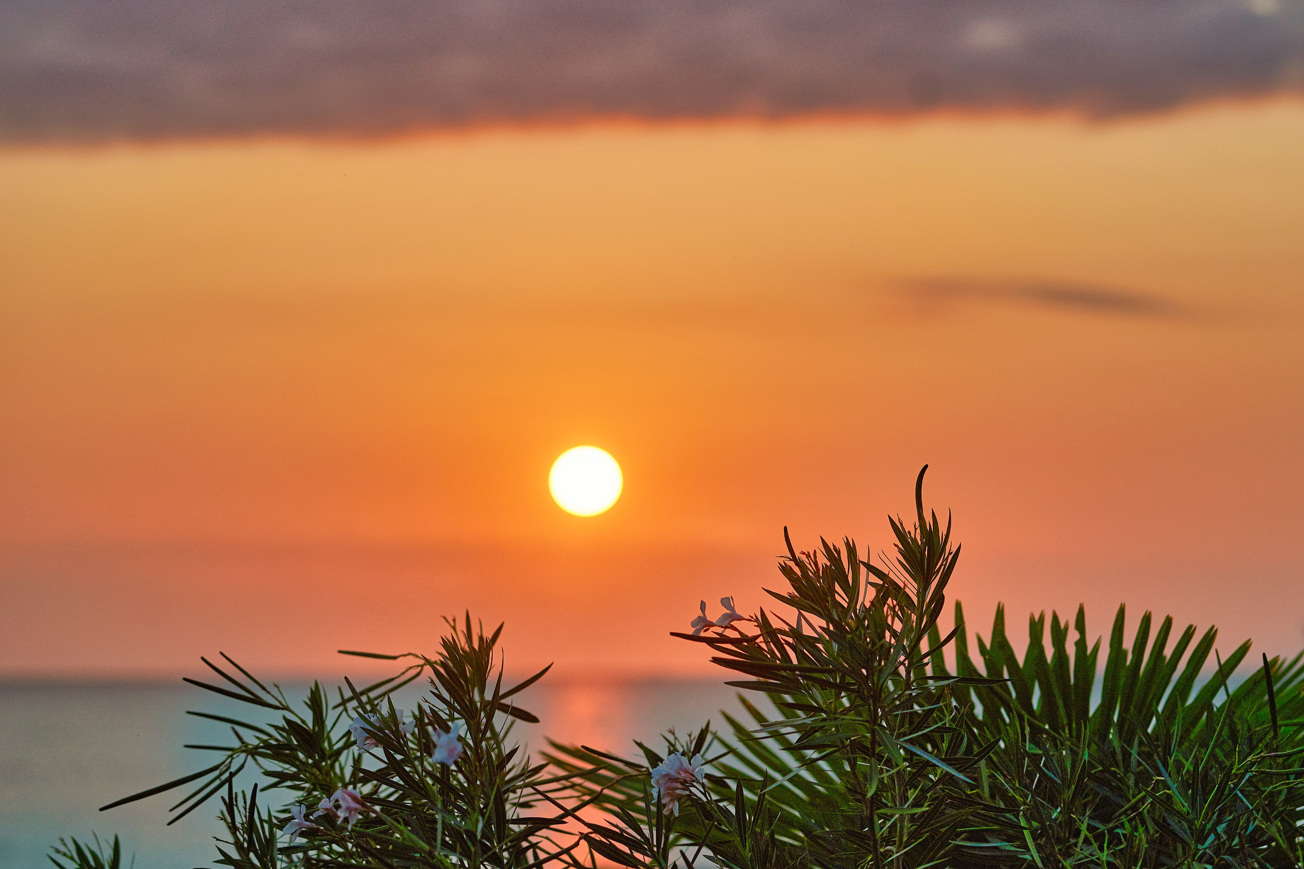 Наша мать — природа. Фотограф Владимир Артамонов