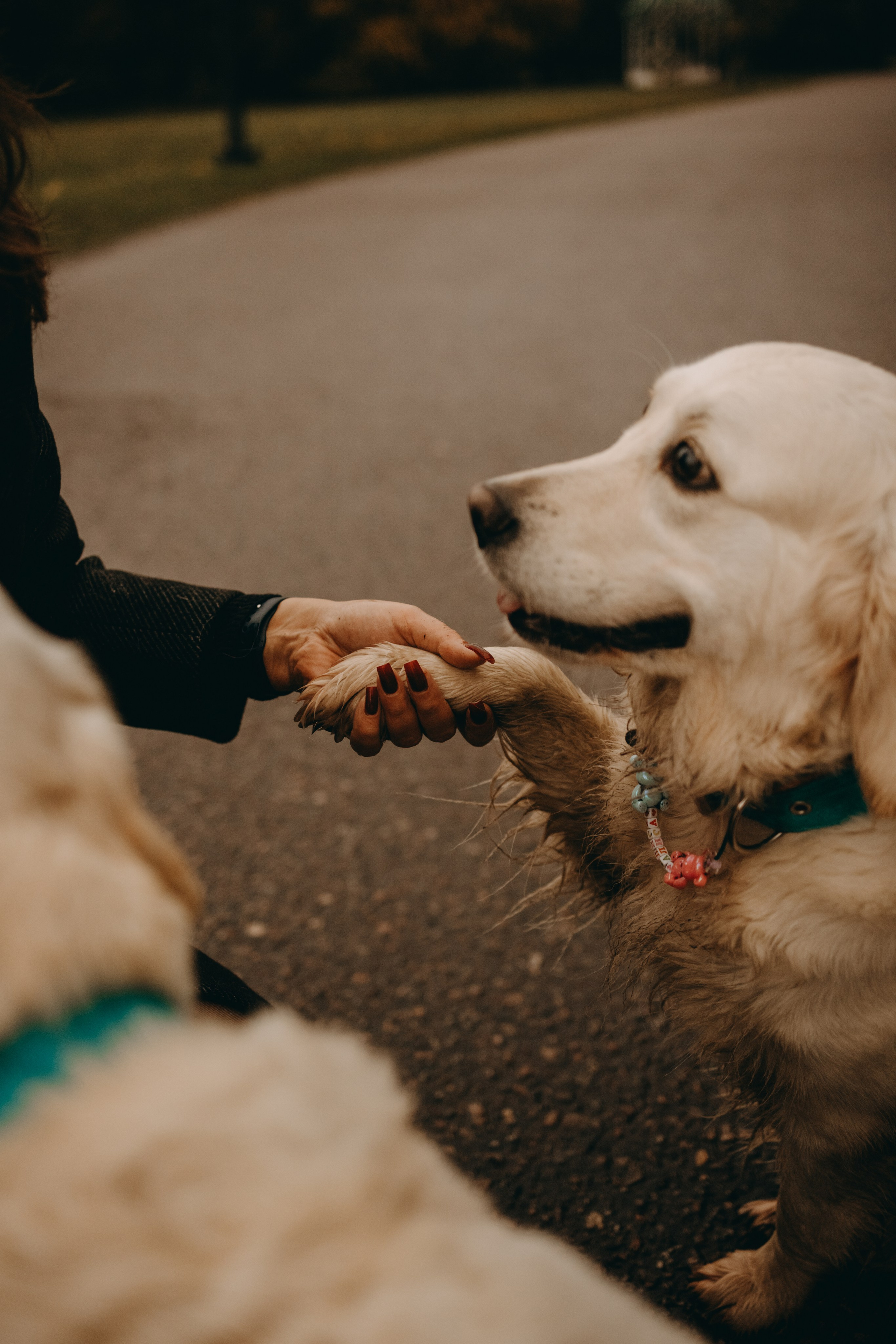 Женя и ее девочки. Фотограф — Анималист | Санкт-Петербург