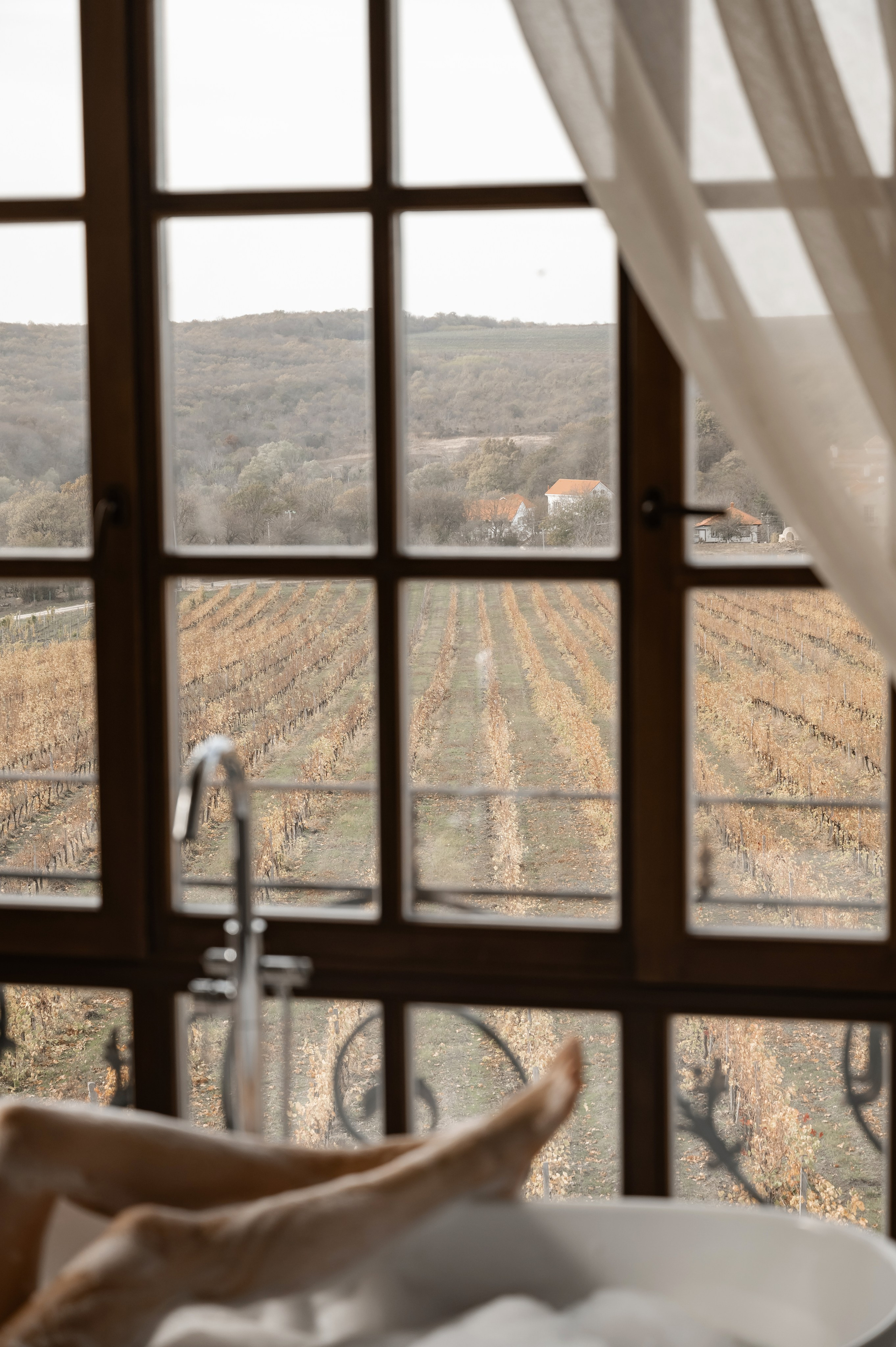 Николай и Екатерина. Свадебный фотограф и видеограф