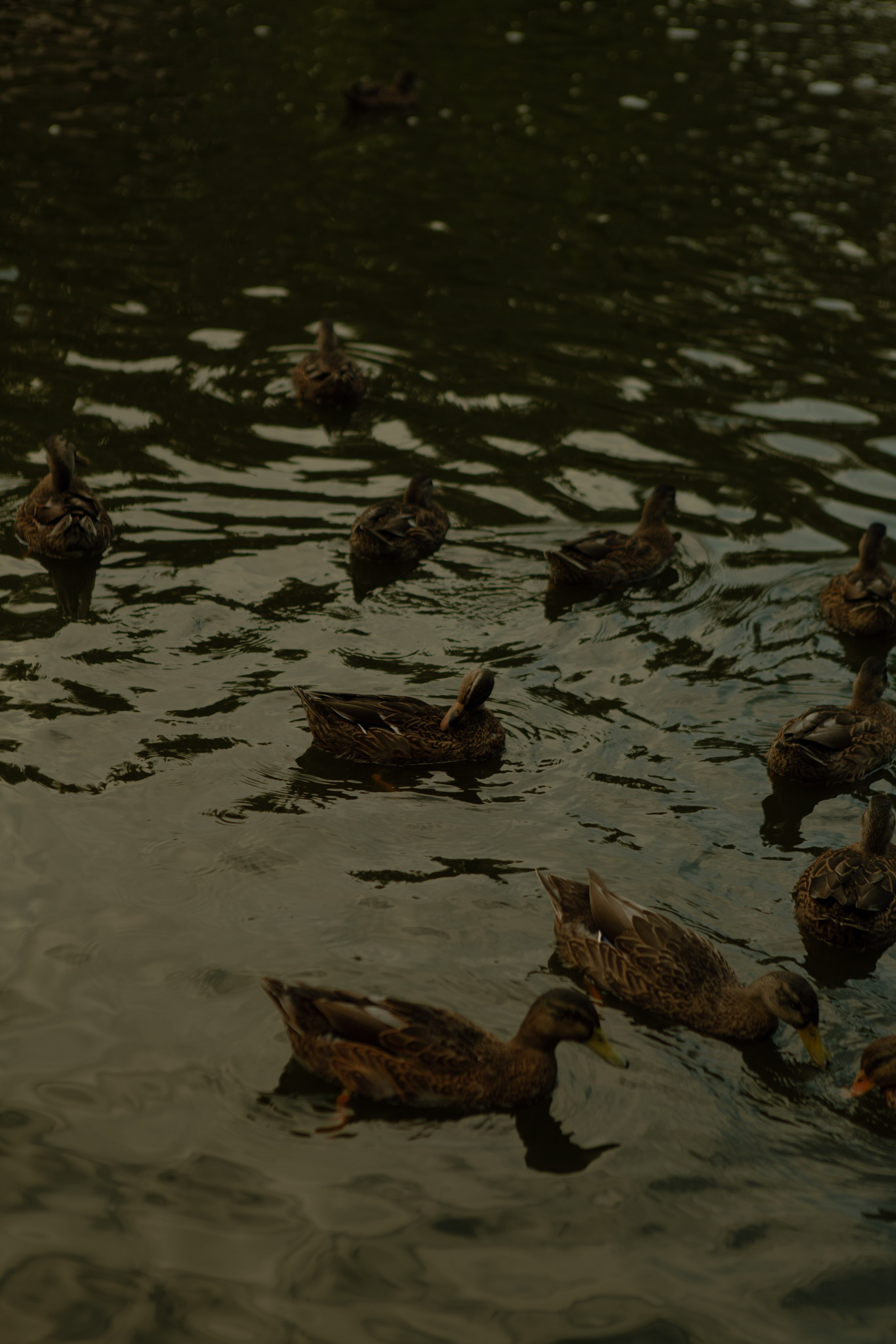 Мария и Георгий. Главная