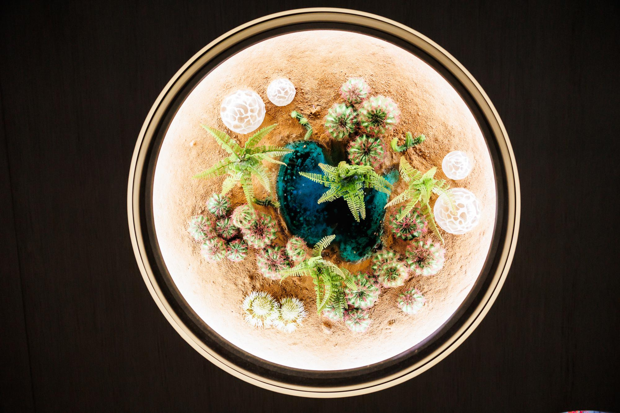 Золотая Лихорадка. Фотограф Дмитрий Елисеев