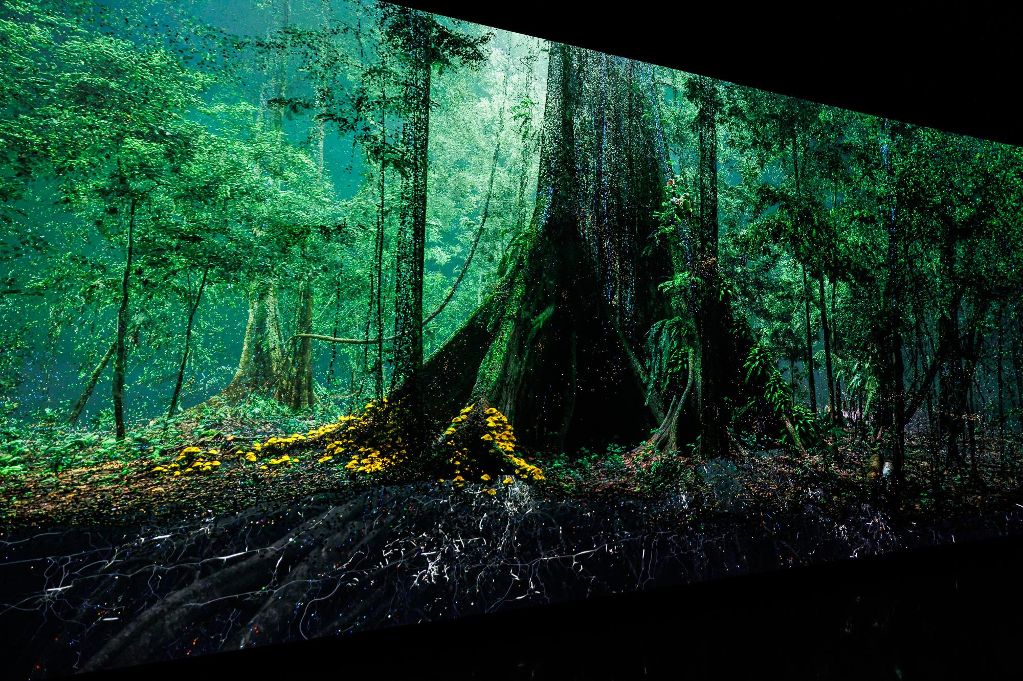 Золотая Лихорадка. Фотограф Дмитрий Елисеев