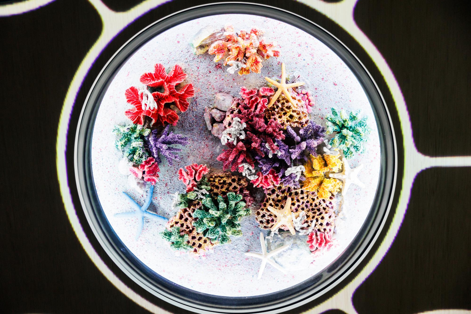 Золотая Лихорадка. Фотограф Дмитрий Елисеев