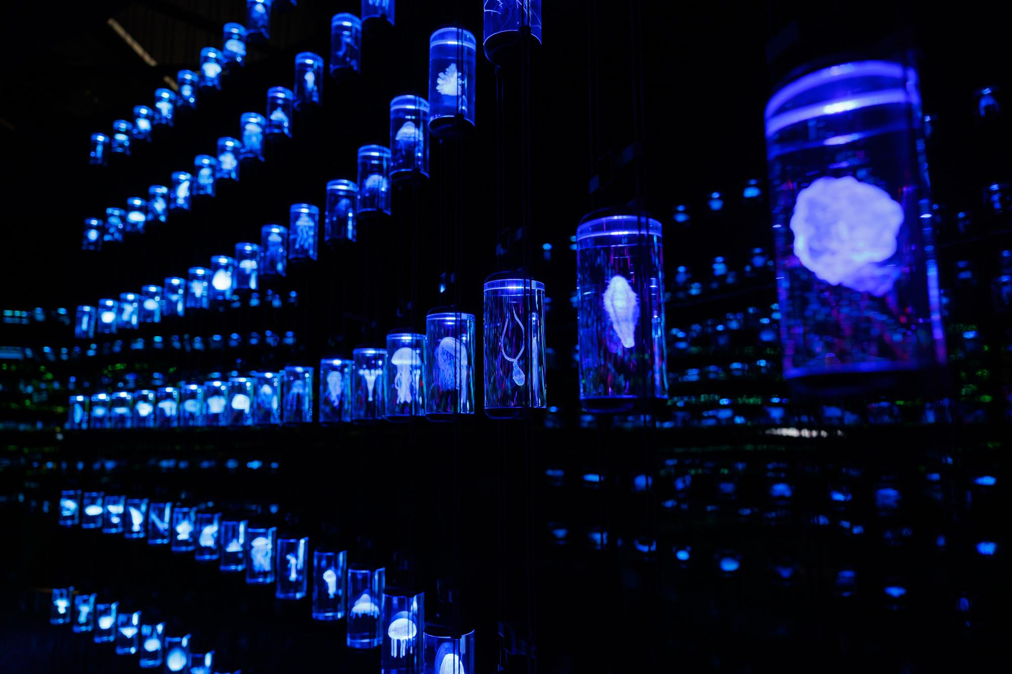 Золотая Лихорадка. Фотограф Дмитрий Елисеев