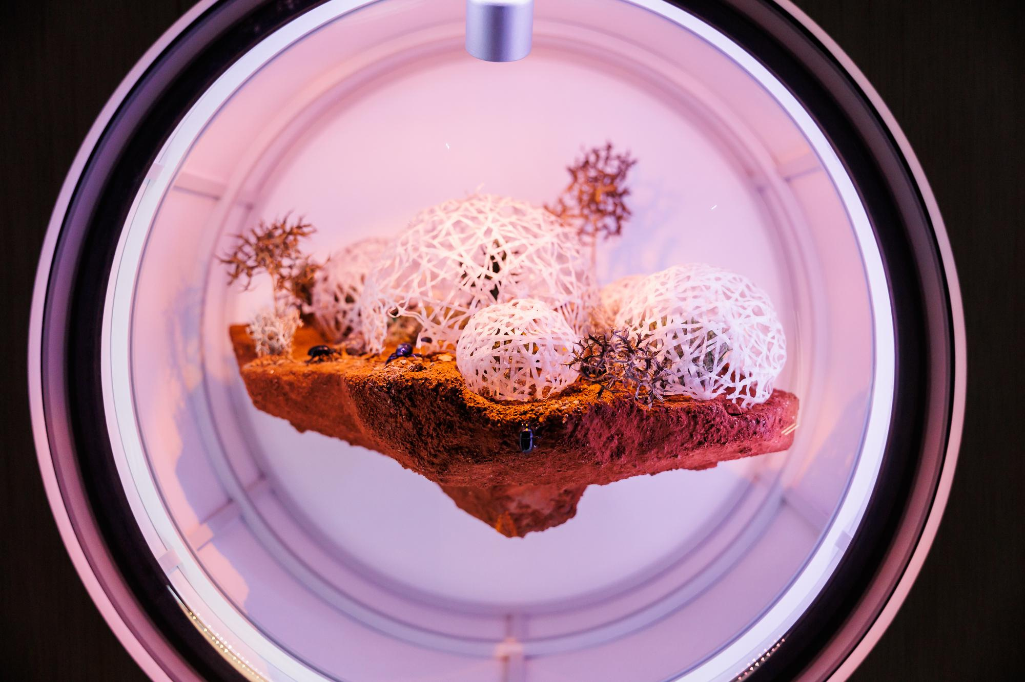 Золотая Лихорадка. Фотограф Дмитрий Елисеев