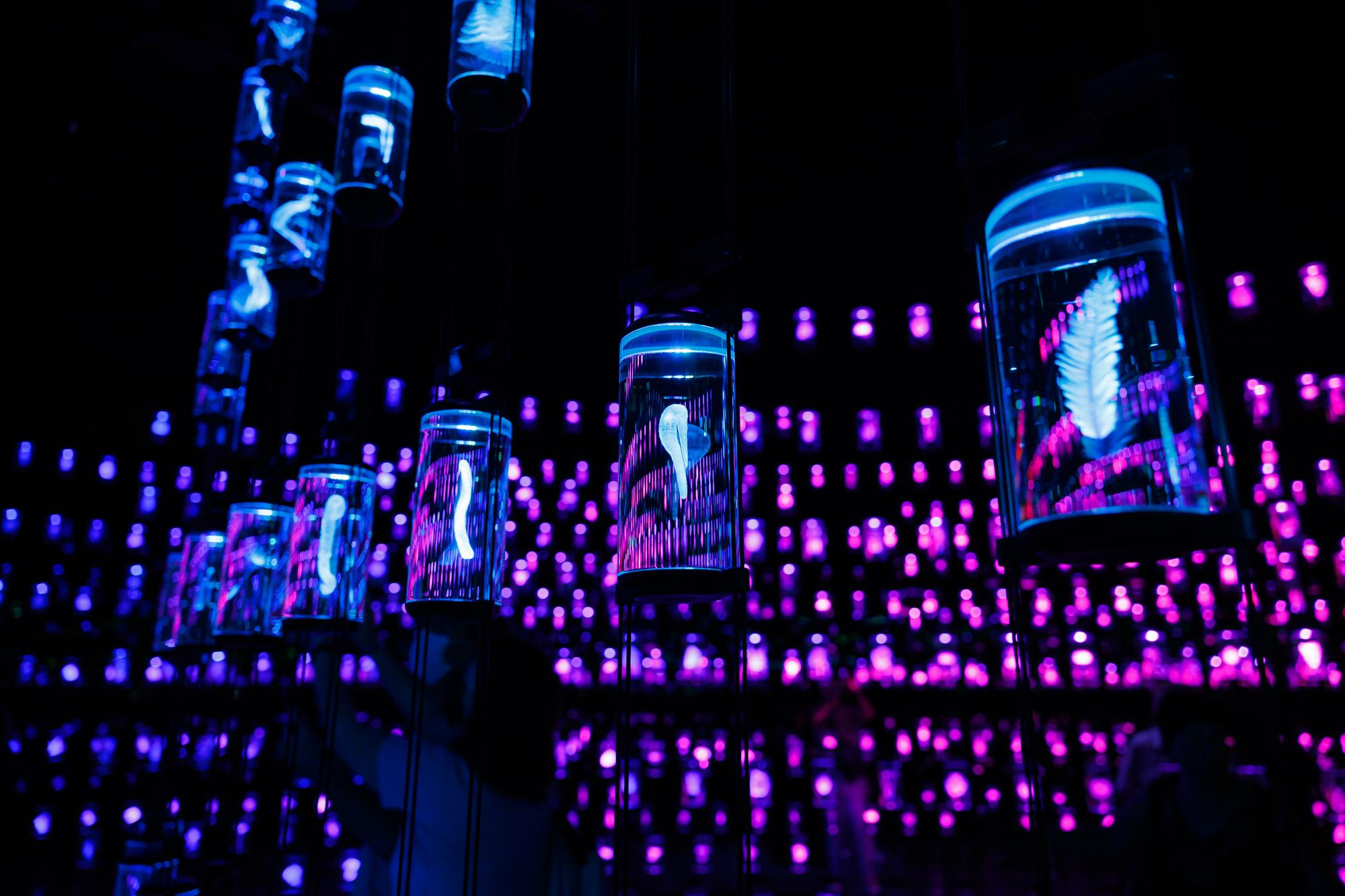 Золотая Лихорадка. Фотограф Дмитрий Елисеев