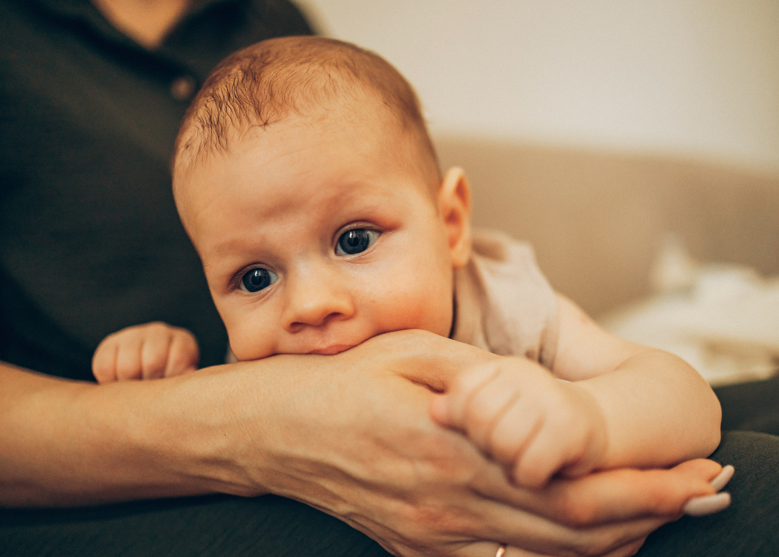 Оля, Леша, Дима, Рома. Семейный фотограф В Москве Александра Дейкун