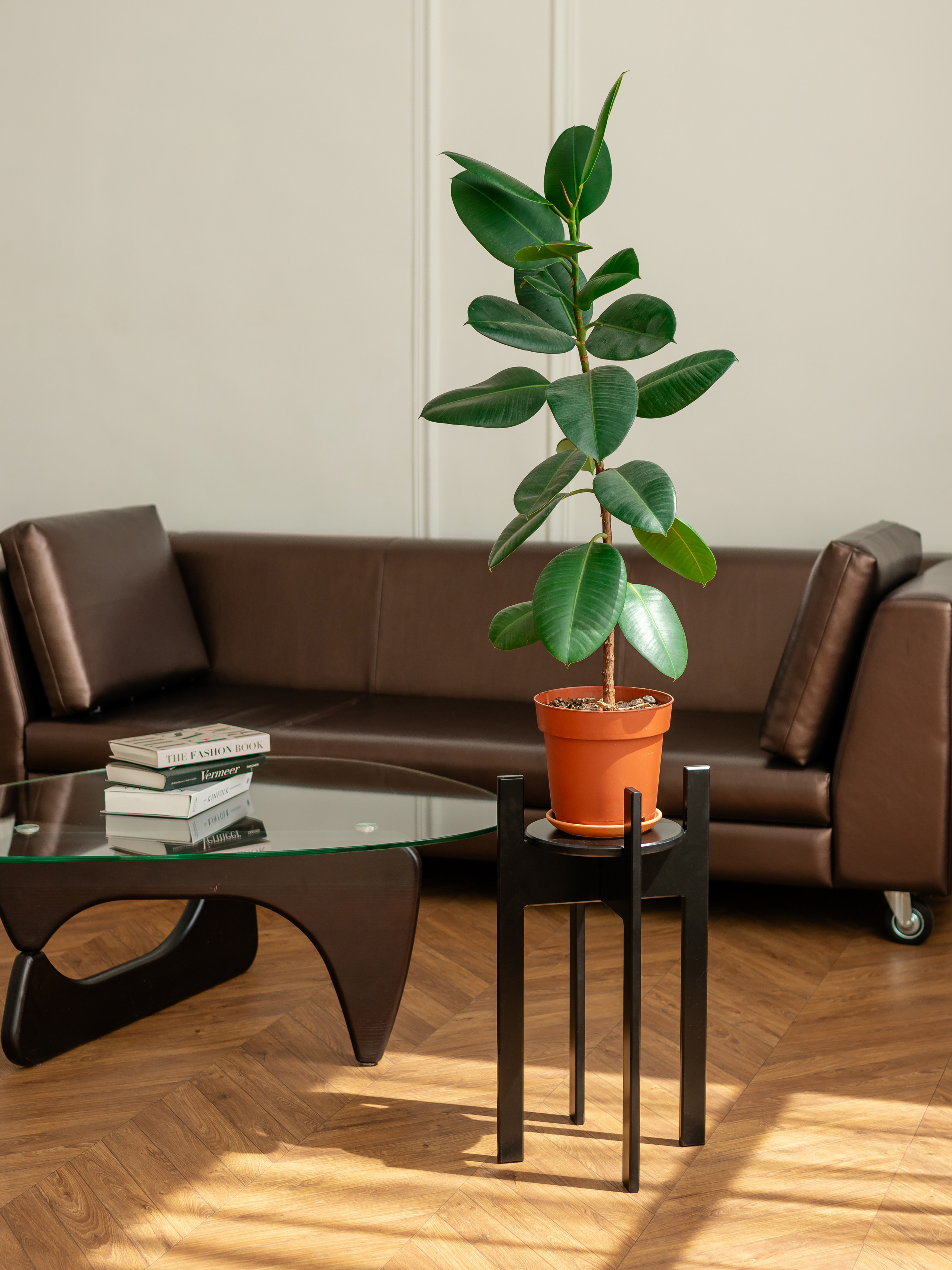 Подставка под цветы. Фотограф в Краснодаре Арина Кудряшова