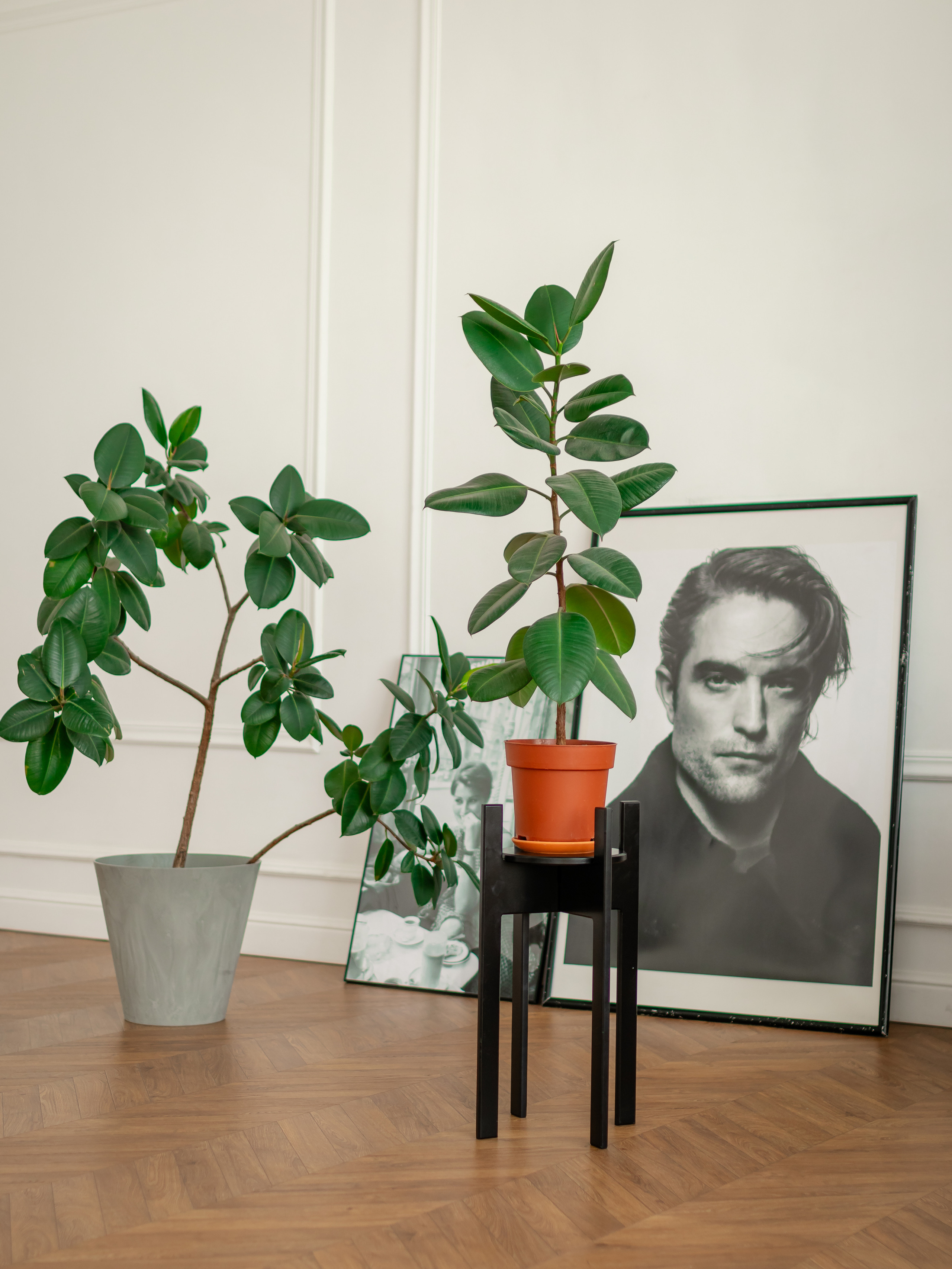 Подставка под цветы. Фотограф в Краснодаре Арина Кудряшова