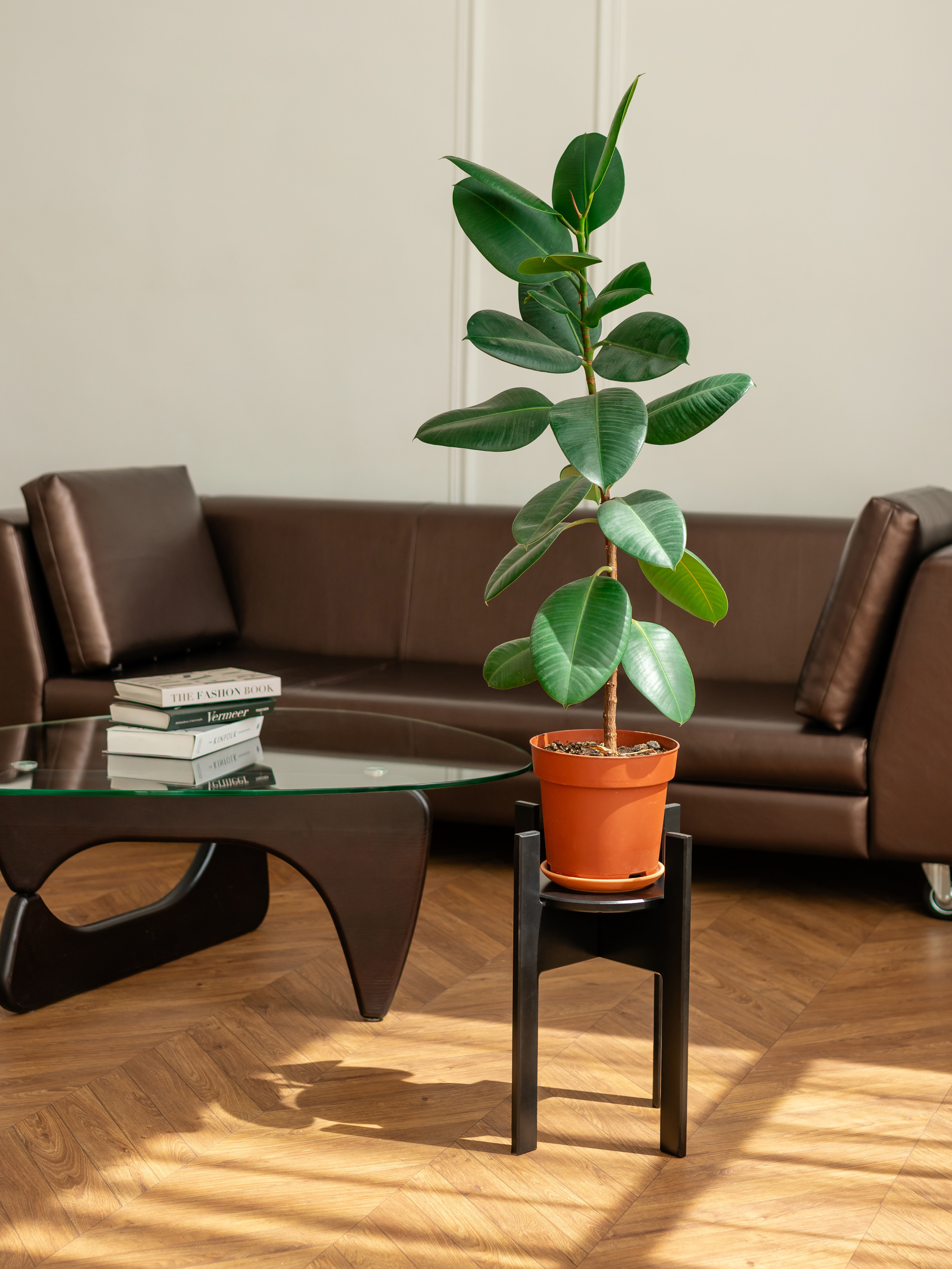 Подставка под цветы. Фотограф в Краснодаре Арина Кудряшова